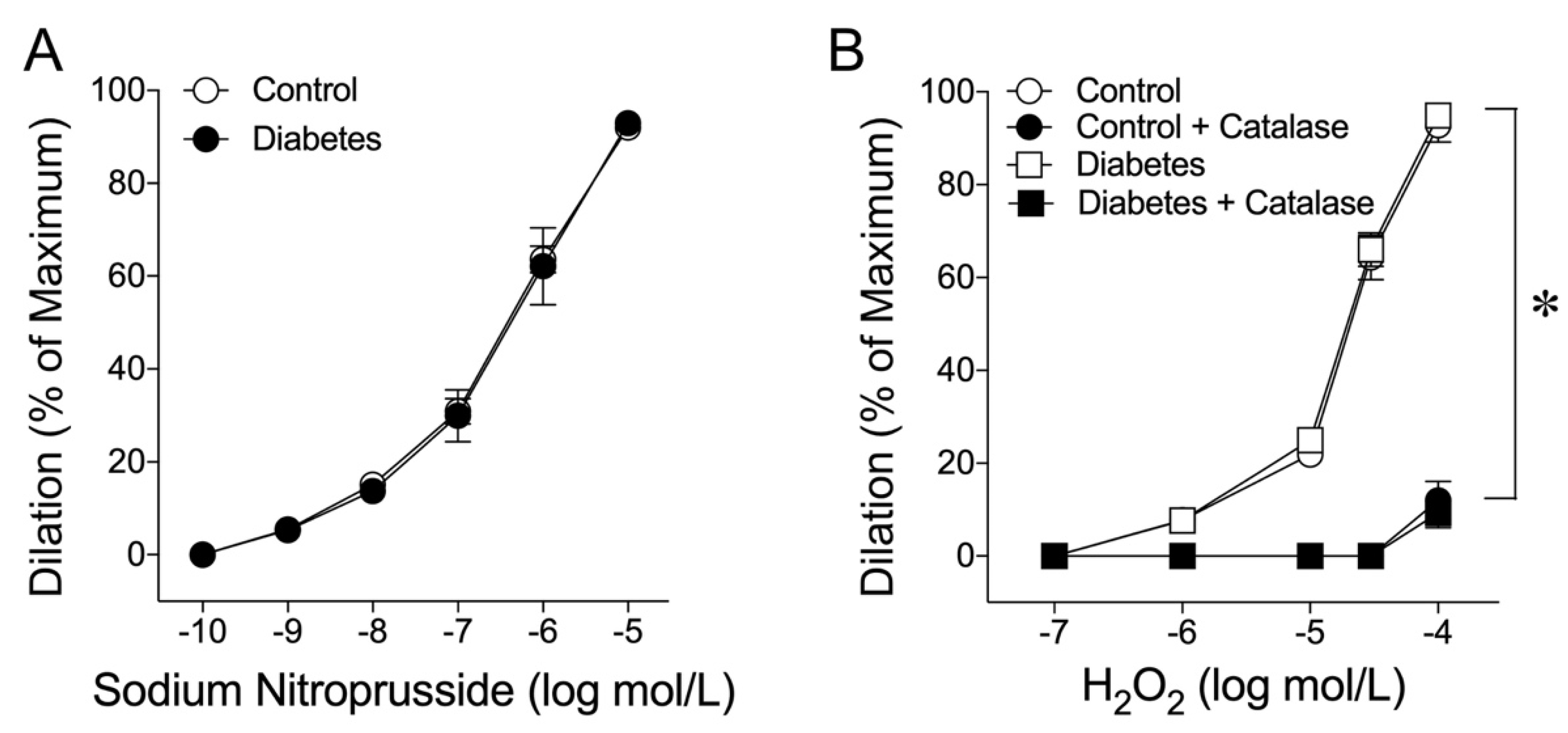 Ijms 24 00489 g003 Ijms 24 00489 g003