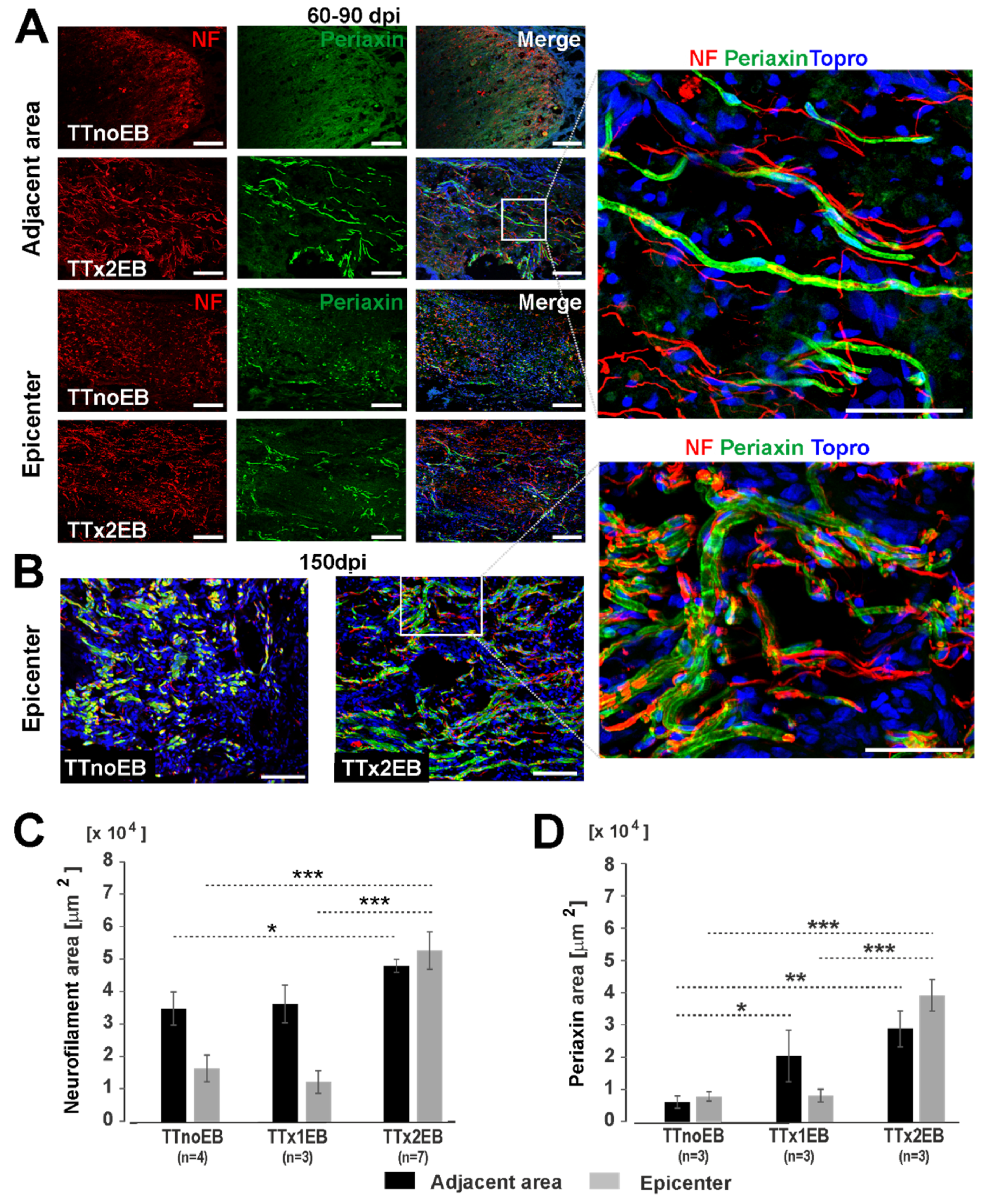 Ijms 24 00495 g002 Ijms 24 00495 g002
