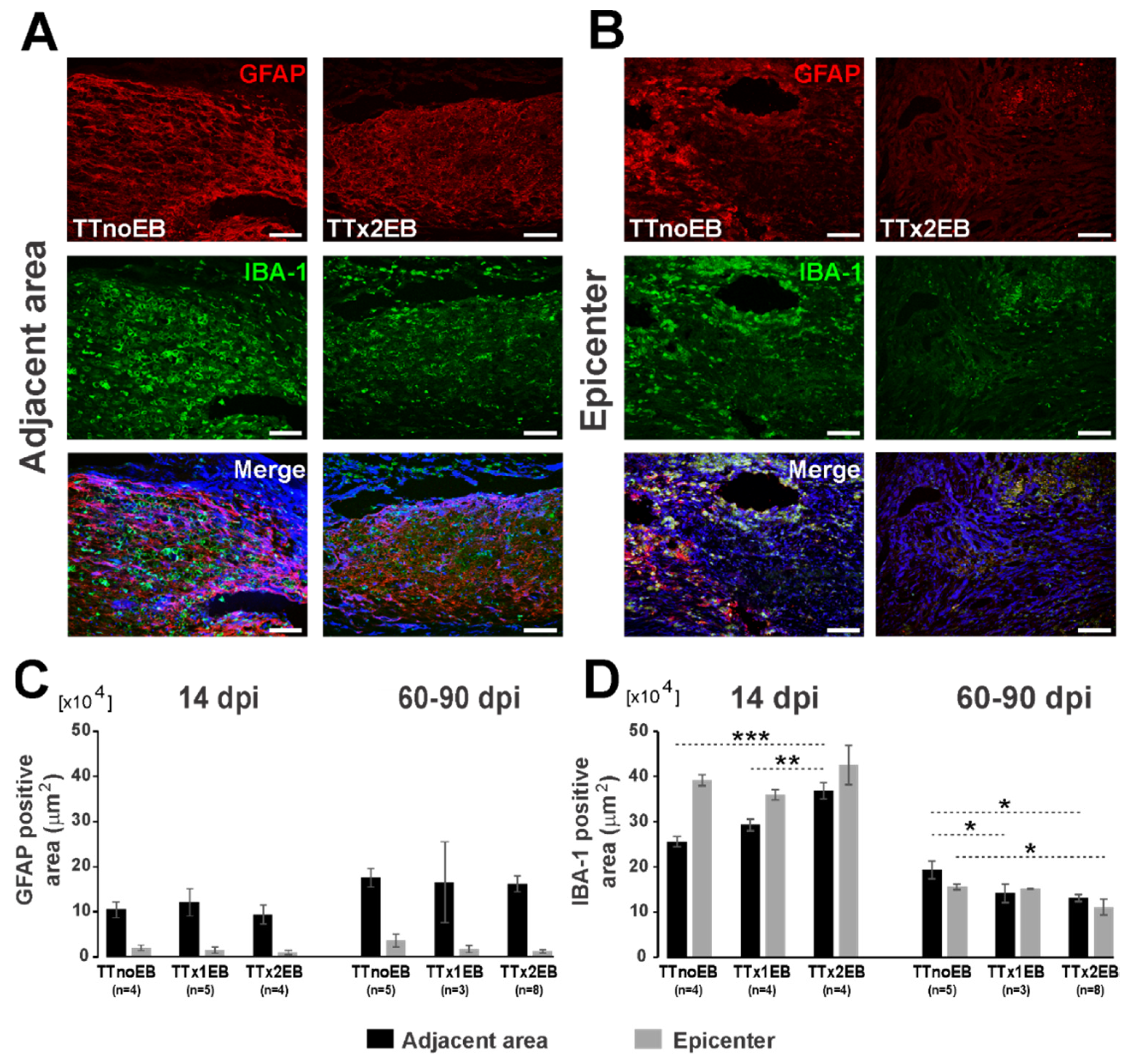 Ijms 24 00495 g004 Ijms 24 00495 g004