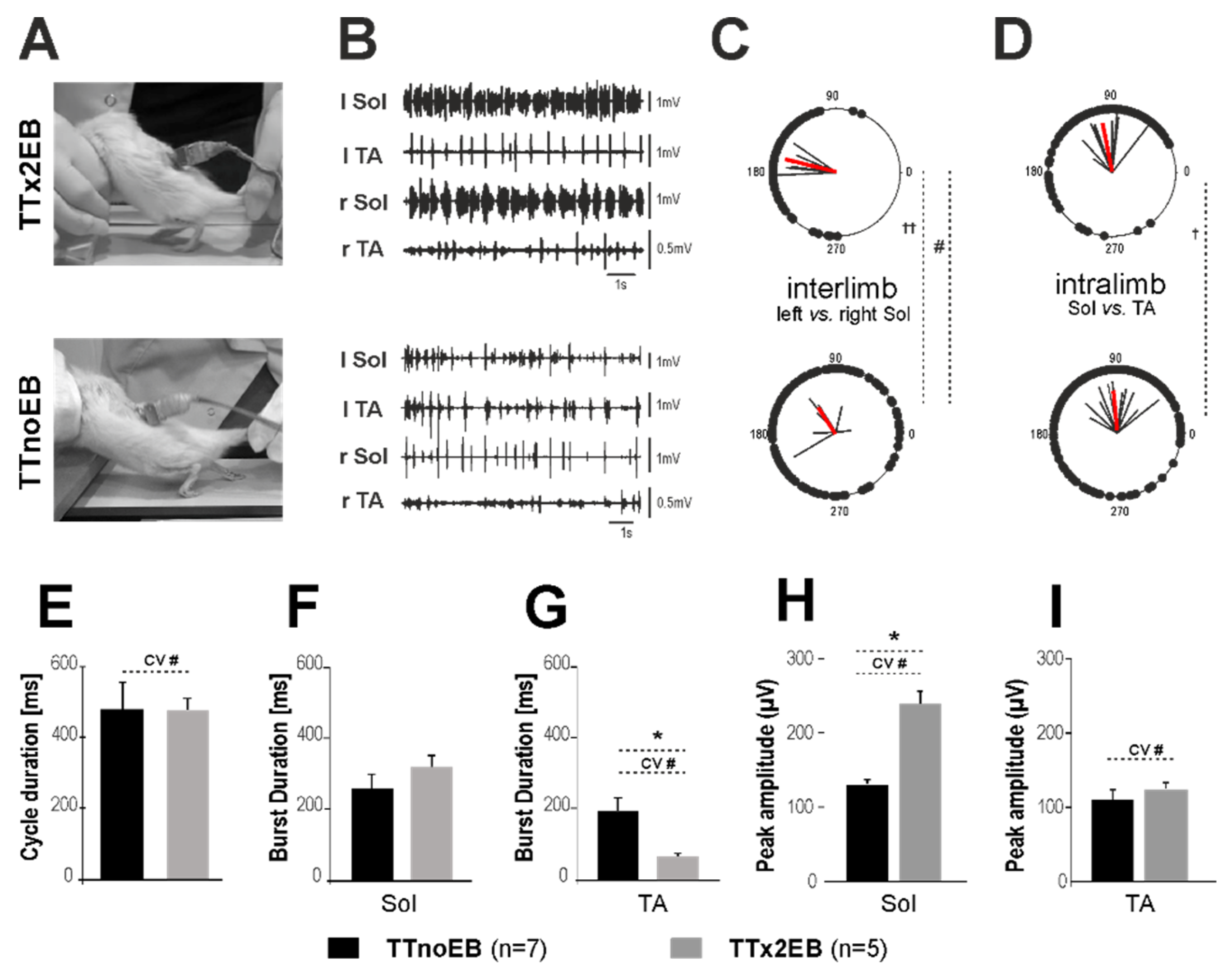 Ijms 24 00495 g005 Ijms 24 00495 g005