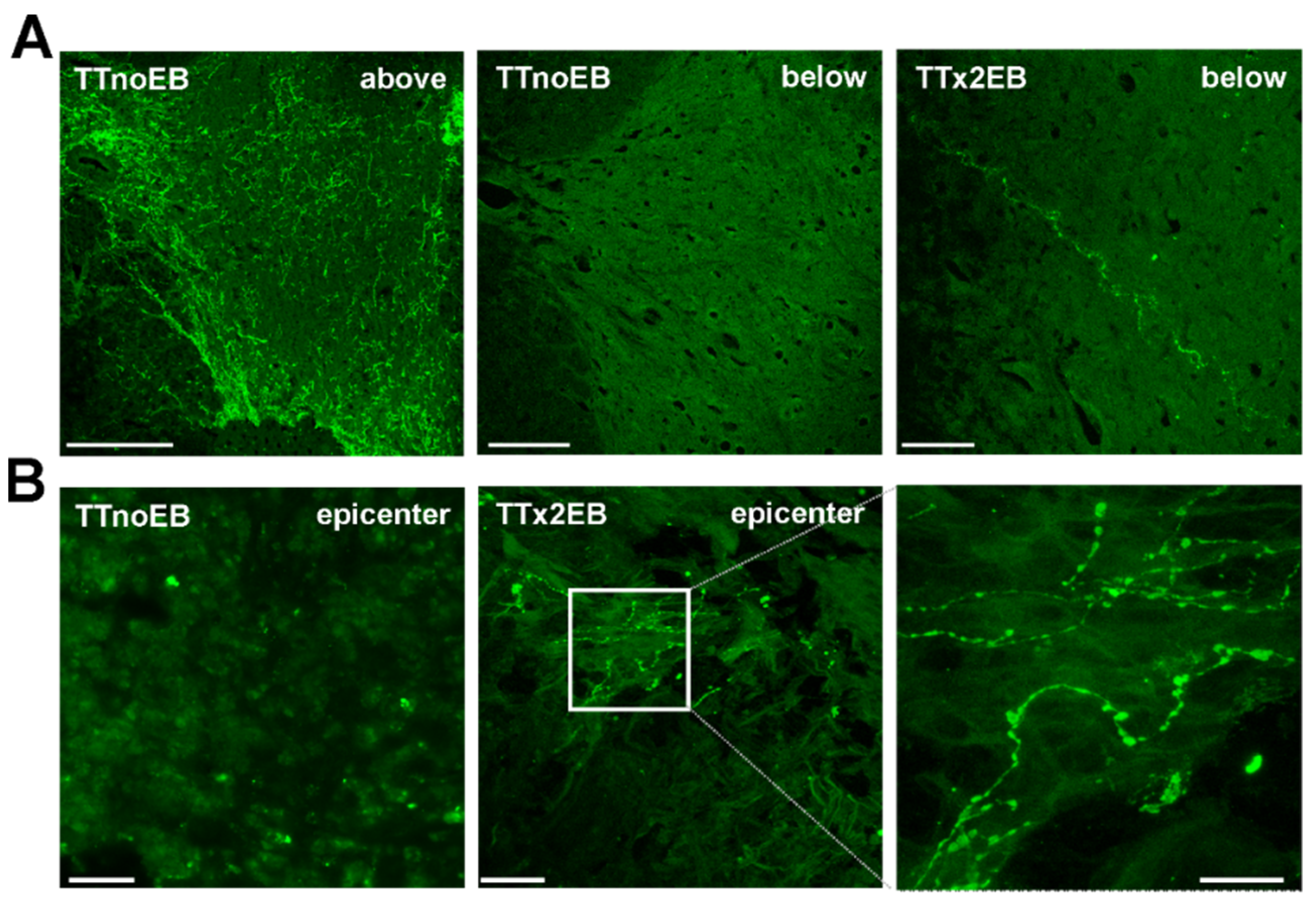 Ijms 24 00495 g006 Ijms 24 00495 g006