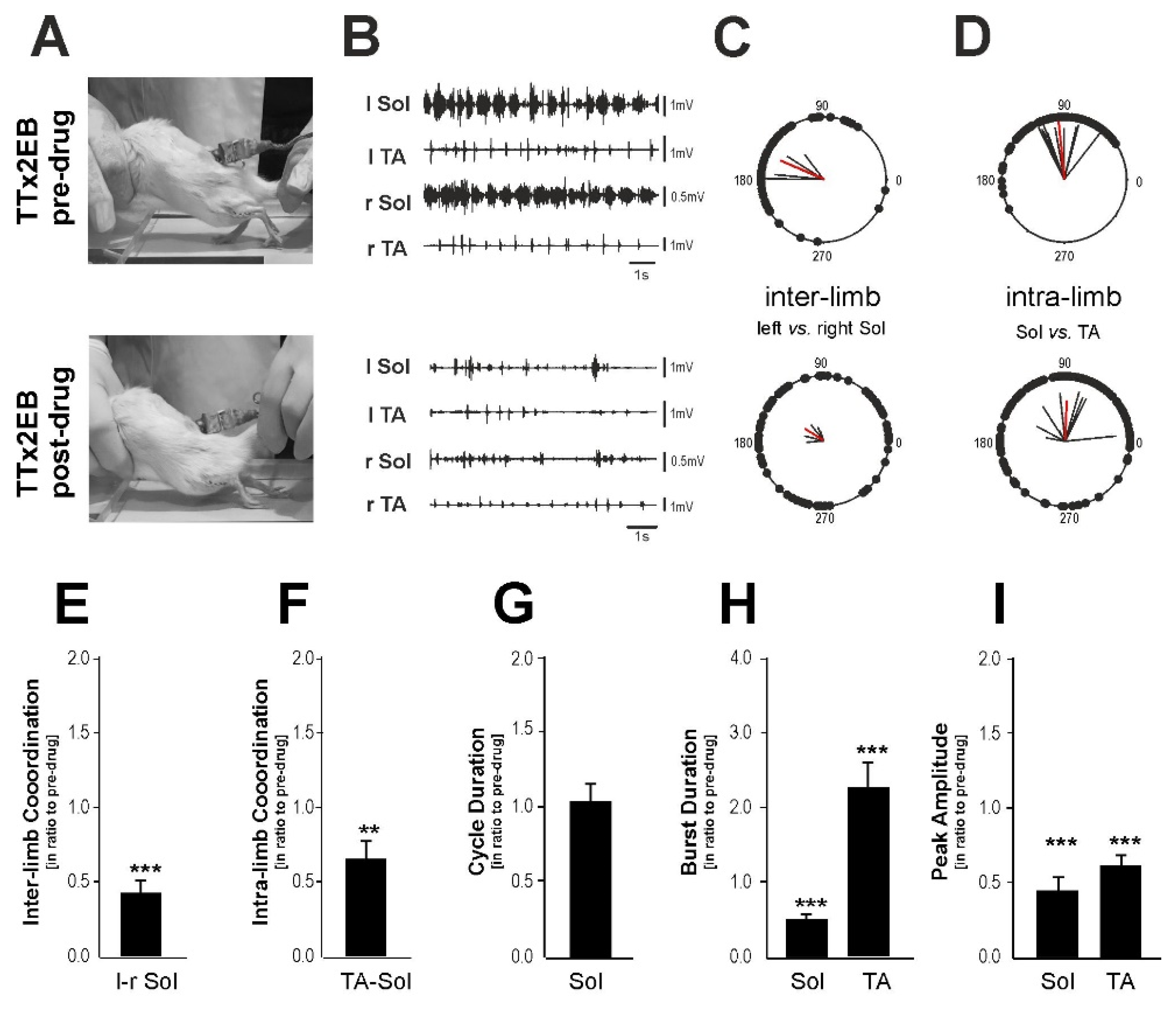 Ijms 24 00495 g007 Ijms 24 00495 g007