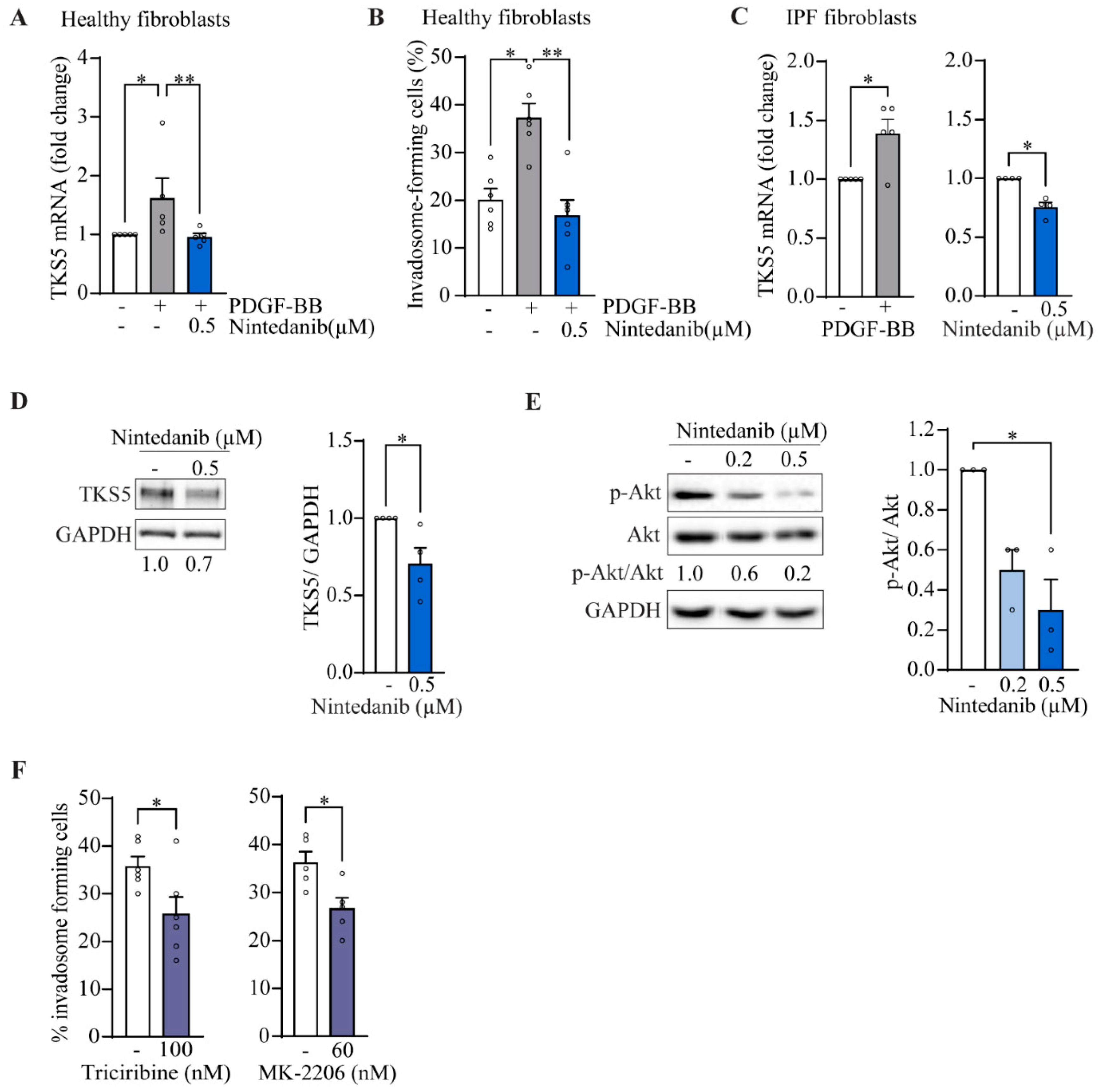 Ijms 24 00499 g005 Ijms 24 00499 g005