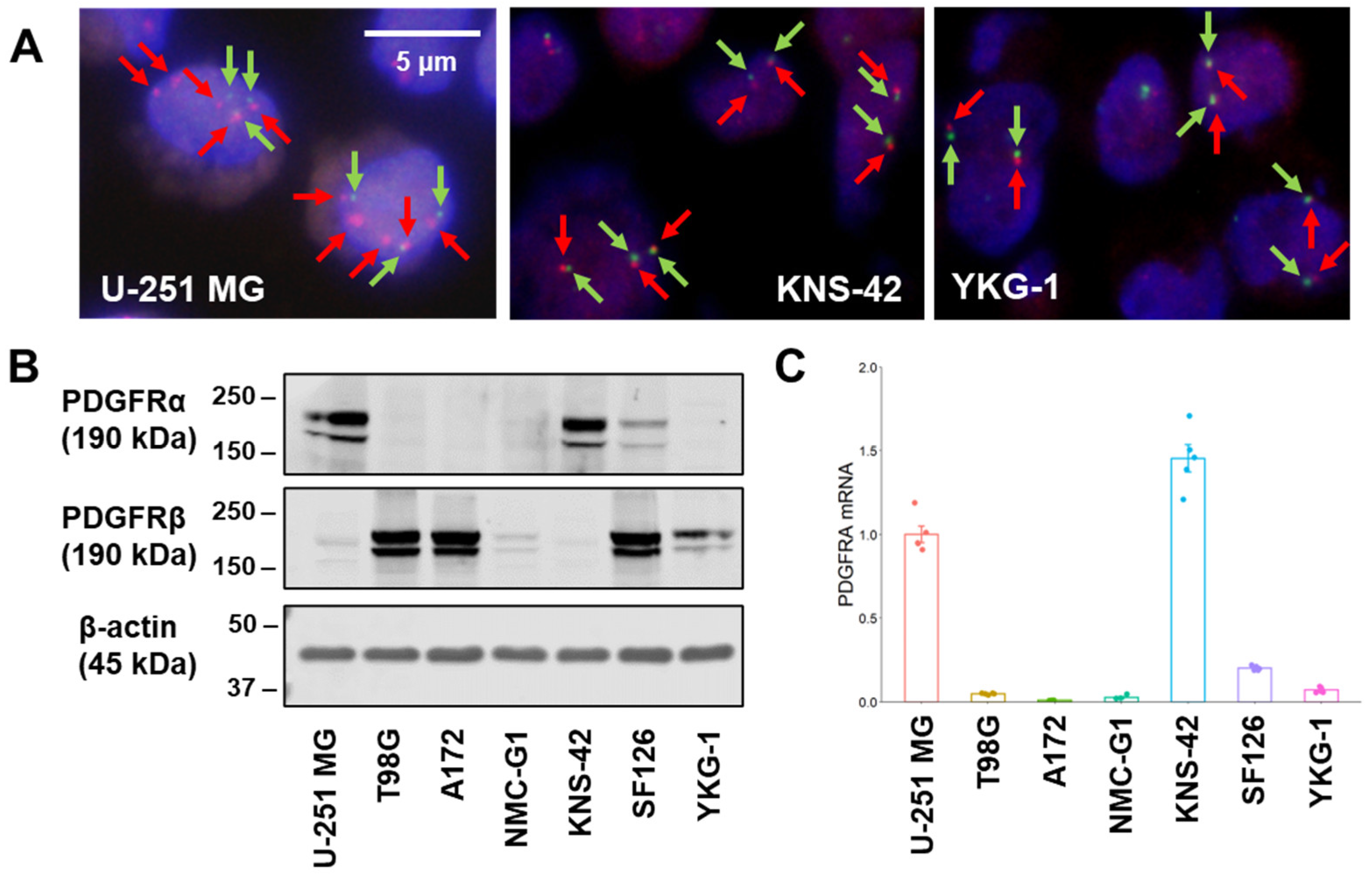 Ijms 24 00500 g001 Ijms 24 00500 g001