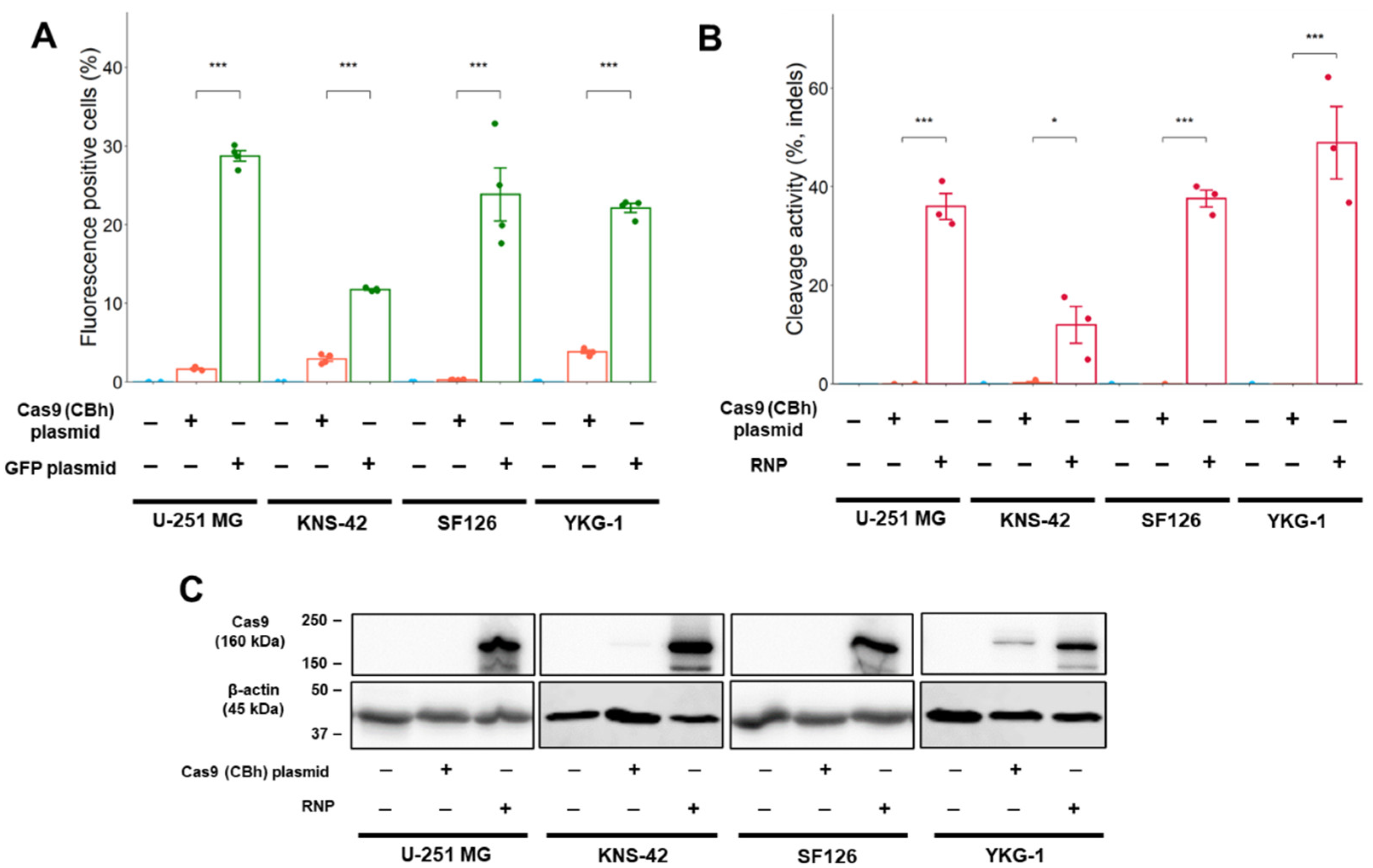 Ijms 24 00500 g002 Ijms 24 00500 g002
