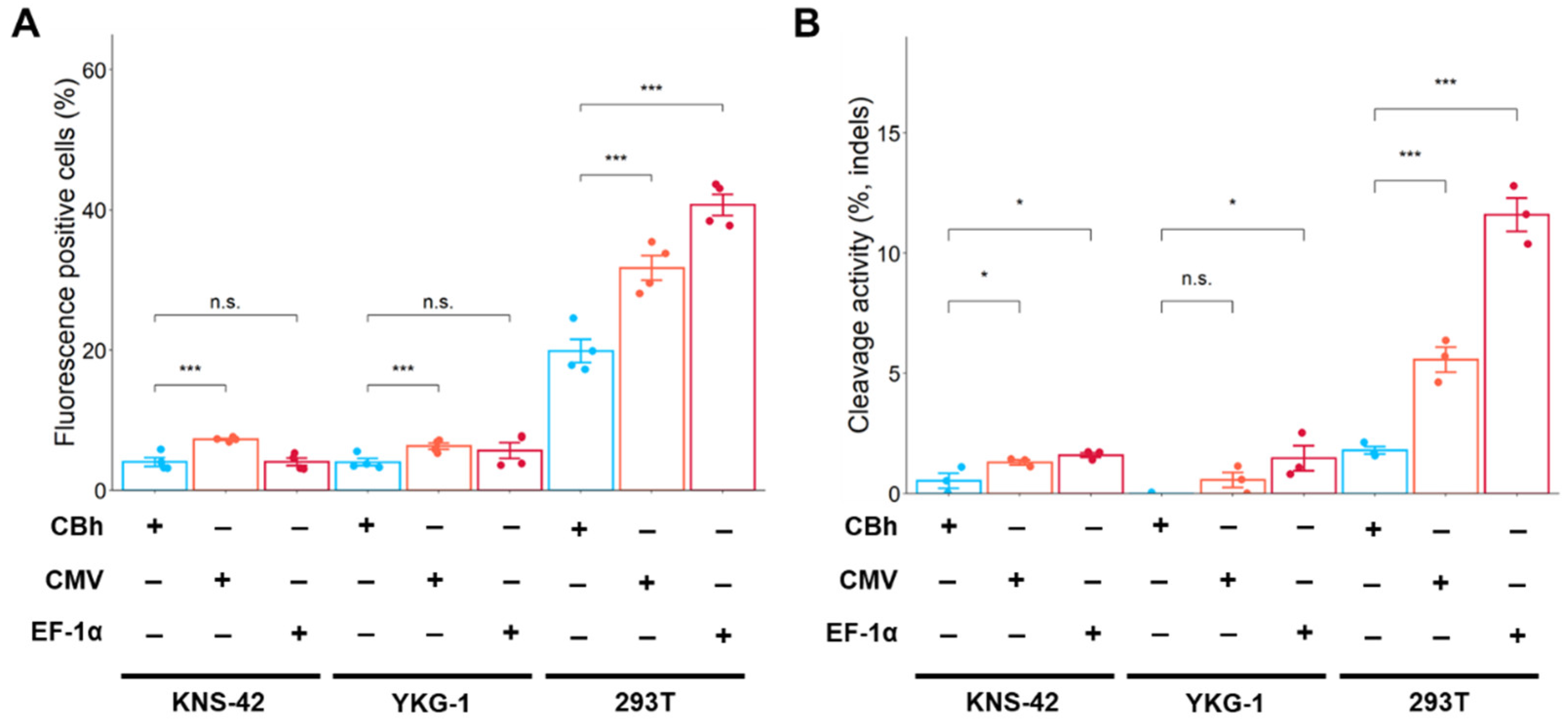 Ijms 24 00500 g004 Ijms 24 00500 g004