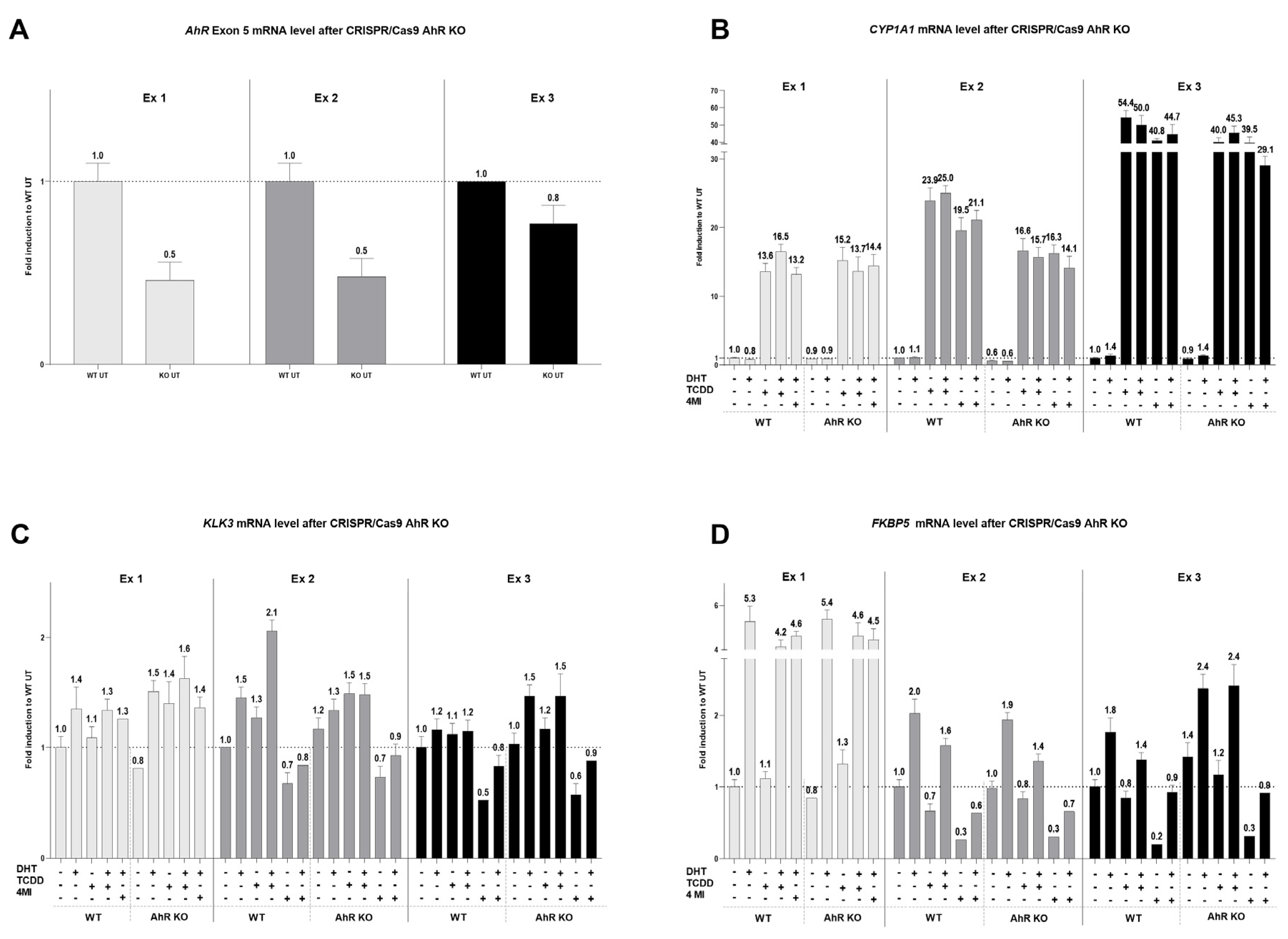 Ijms 24 00502 g006 Ijms 24 00502 g006