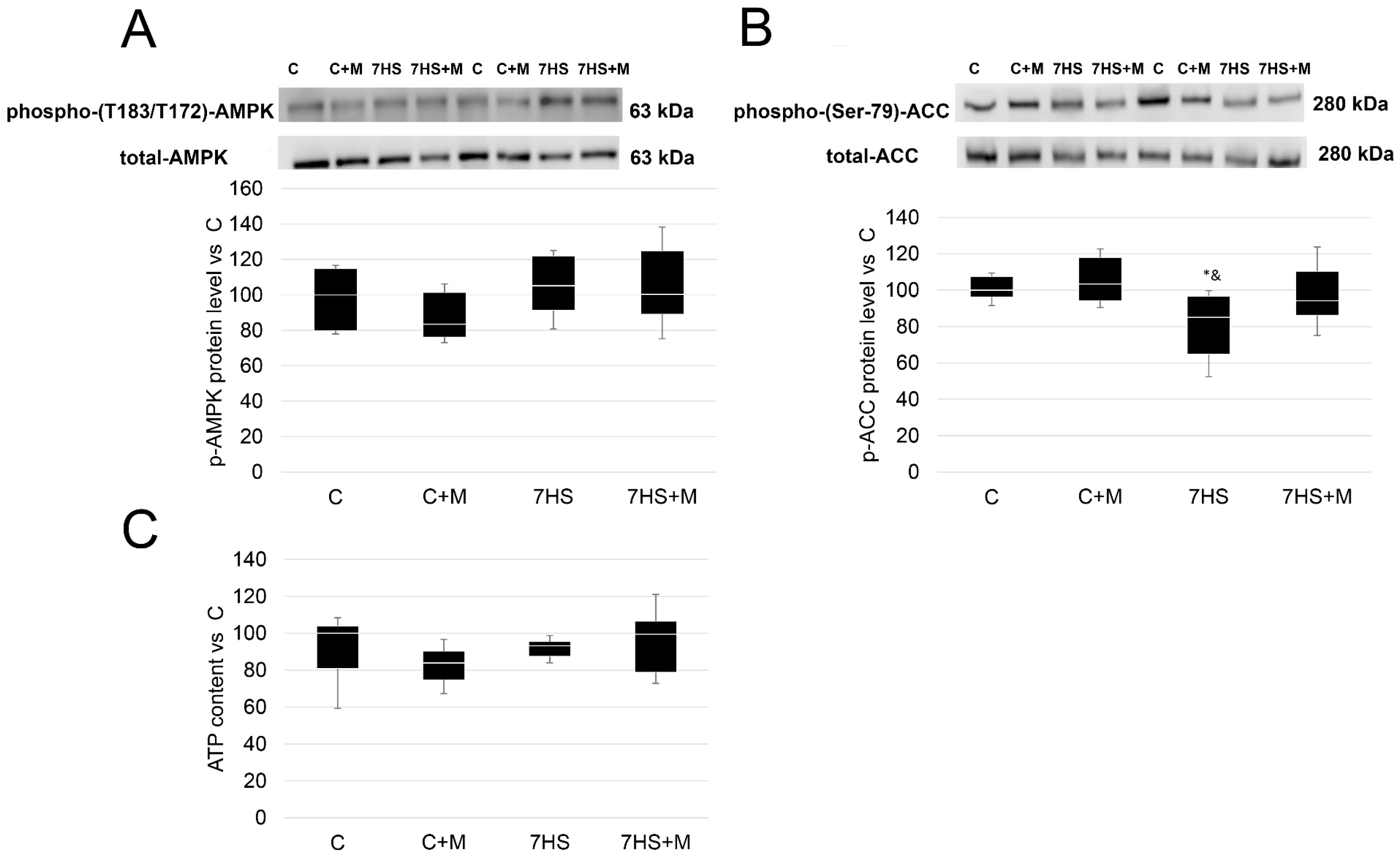 Ijms 24 00503 g002 Ijms 24 00503 g002