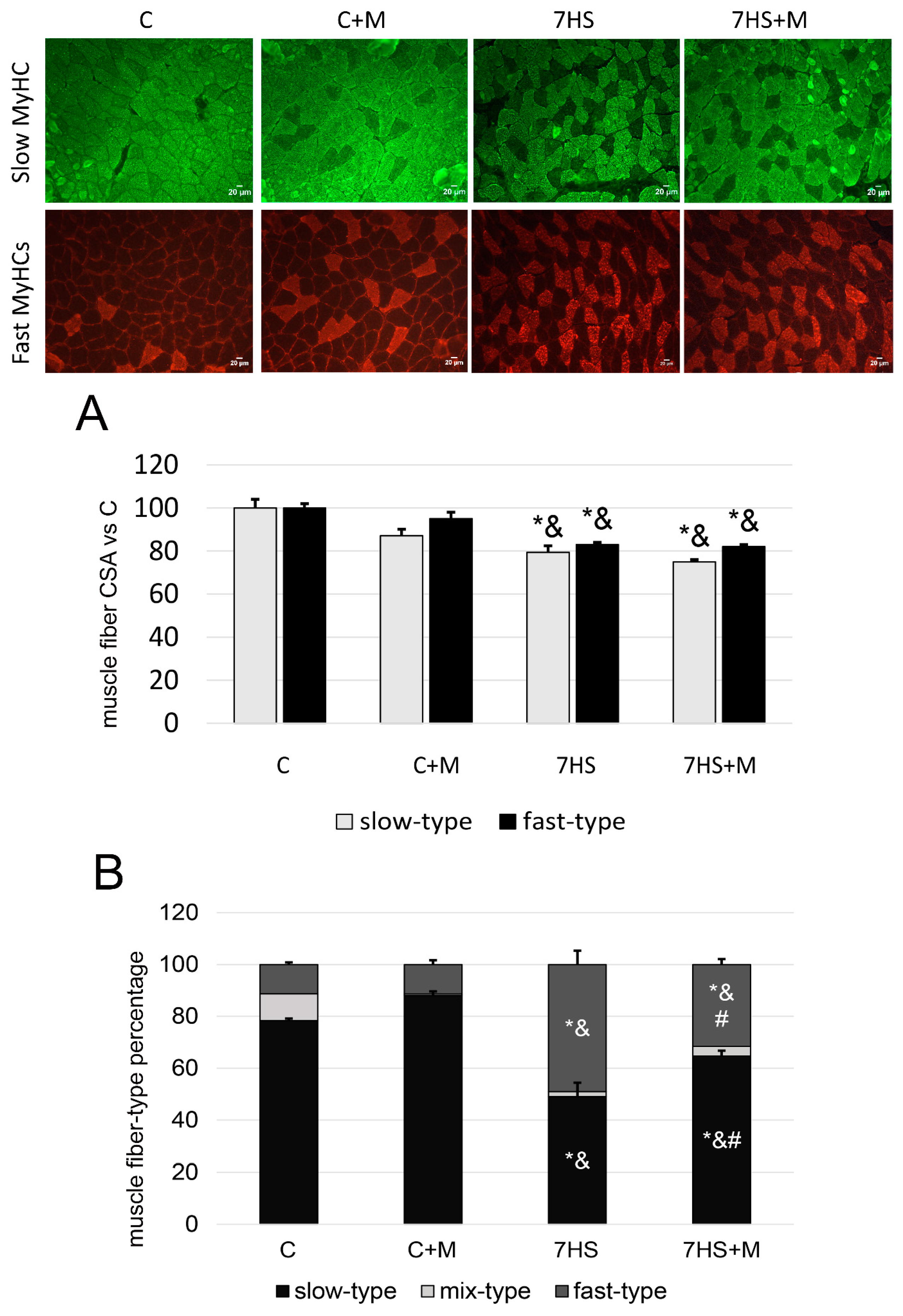 Ijms 24 00503 g004 Ijms 24 00503 g004