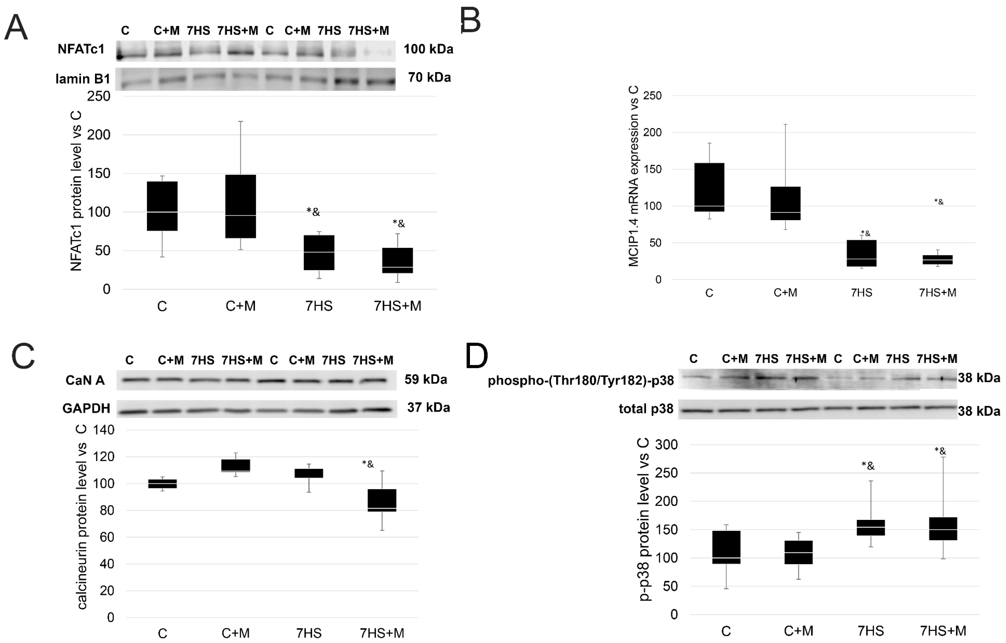 Ijms 24 00503 g007 Ijms 24 00503 g007