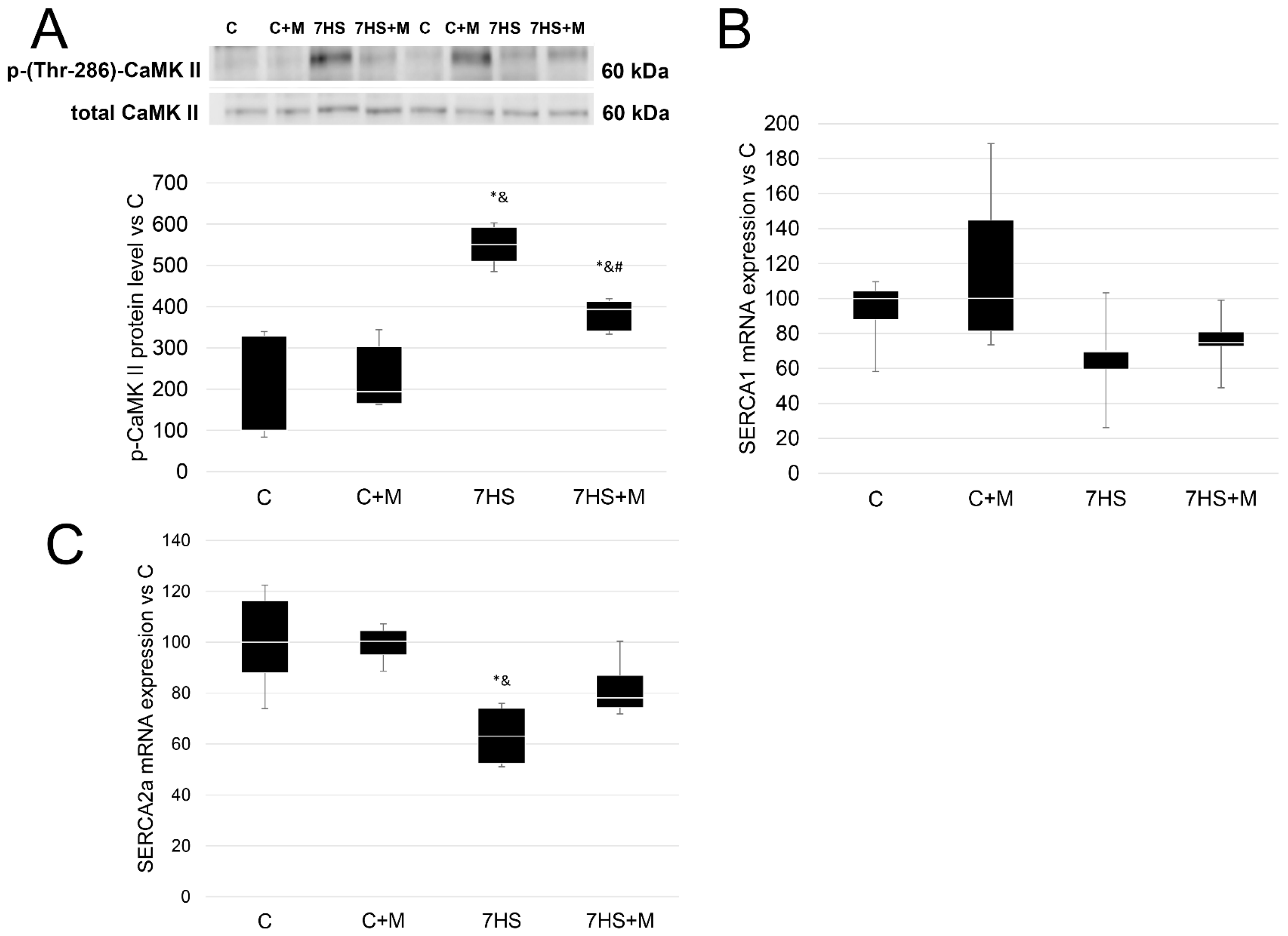 Ijms 24 00503 g008 Ijms 24 00503 g008