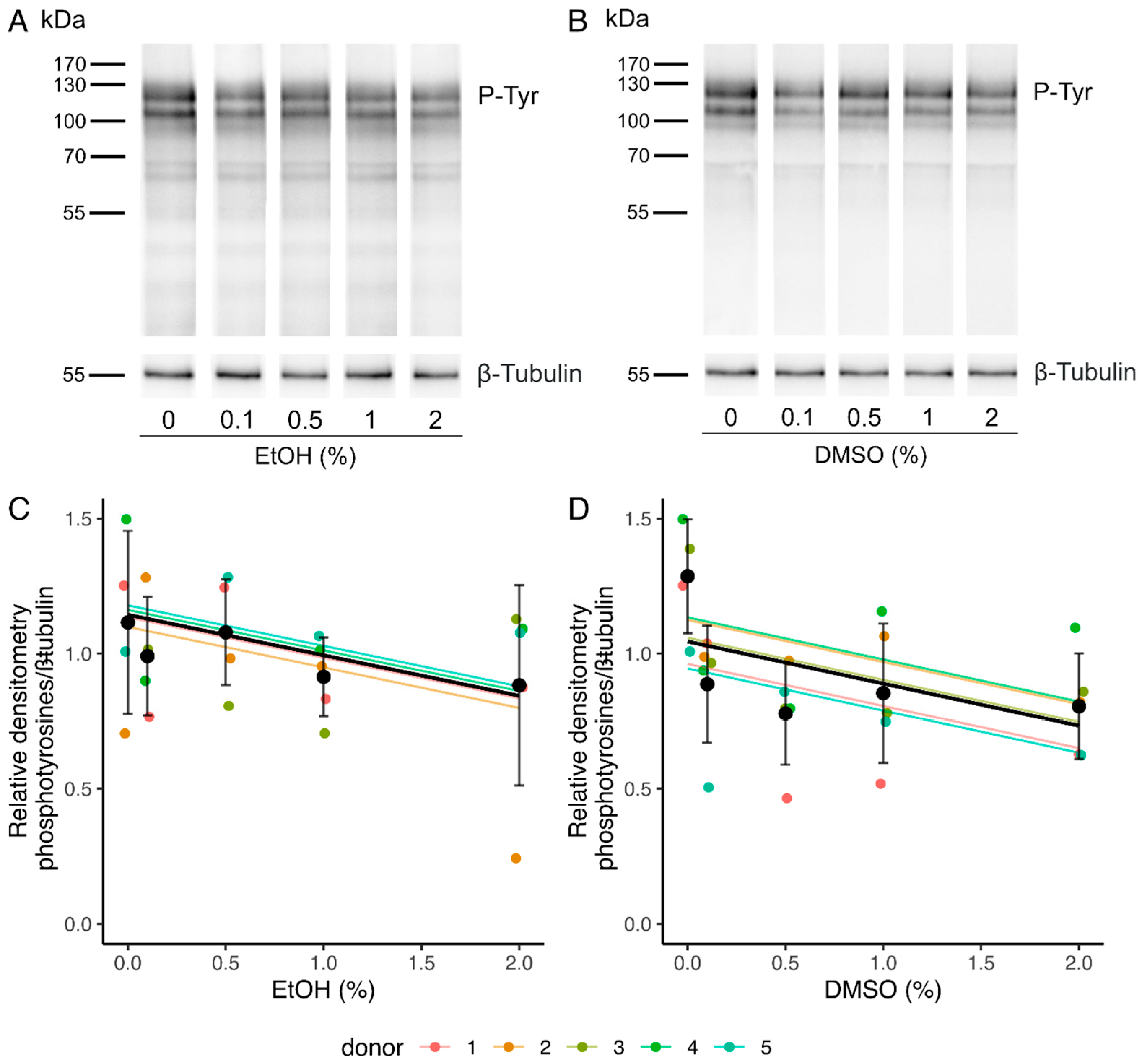 Ijms 24 00505 g004 Ijms 24 00505 g004
