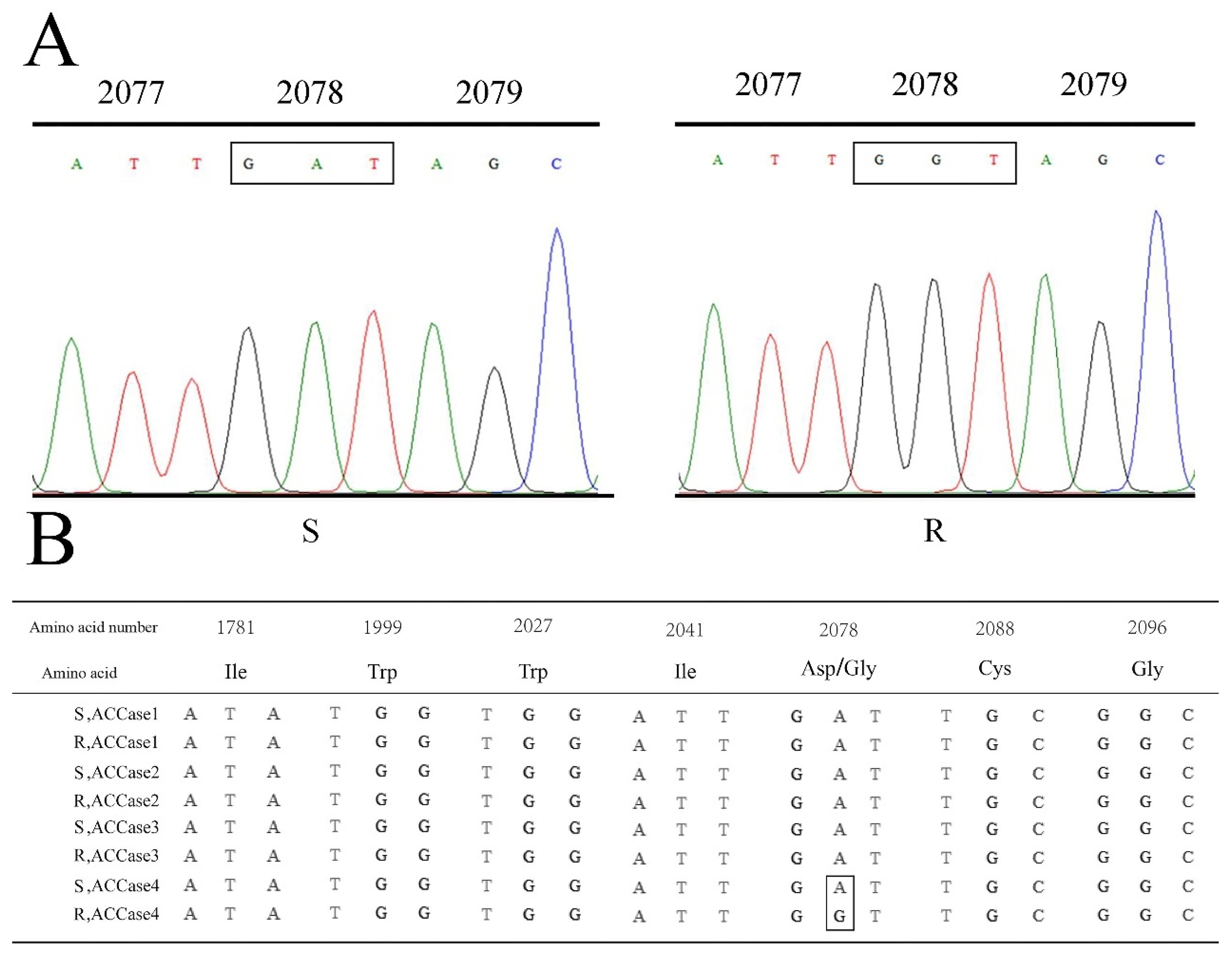 Ijms 24 00528 g001 Ijms 24 00528 g001