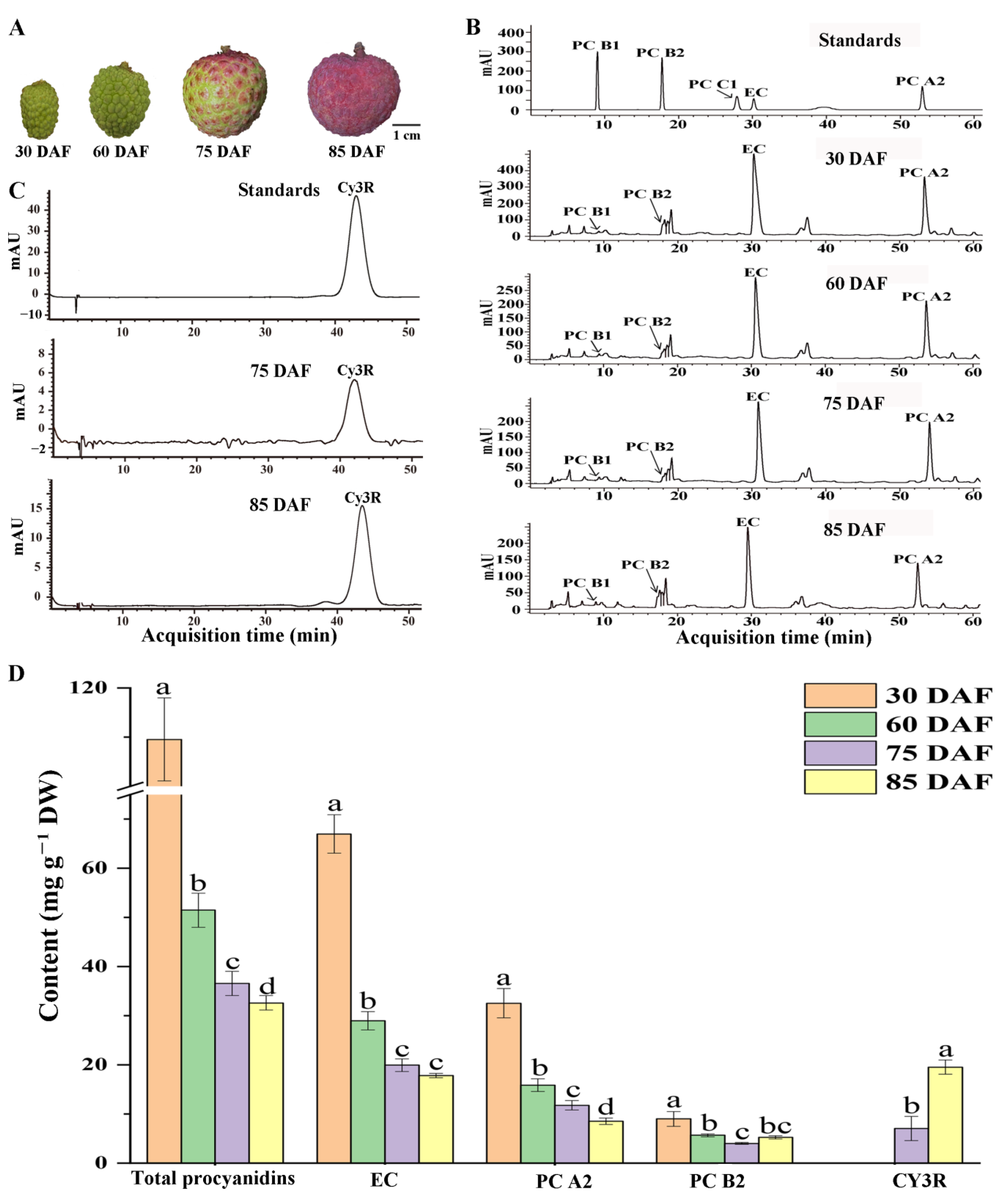 Ijms 24 00532 g001 Ijms 24 00532 g001
