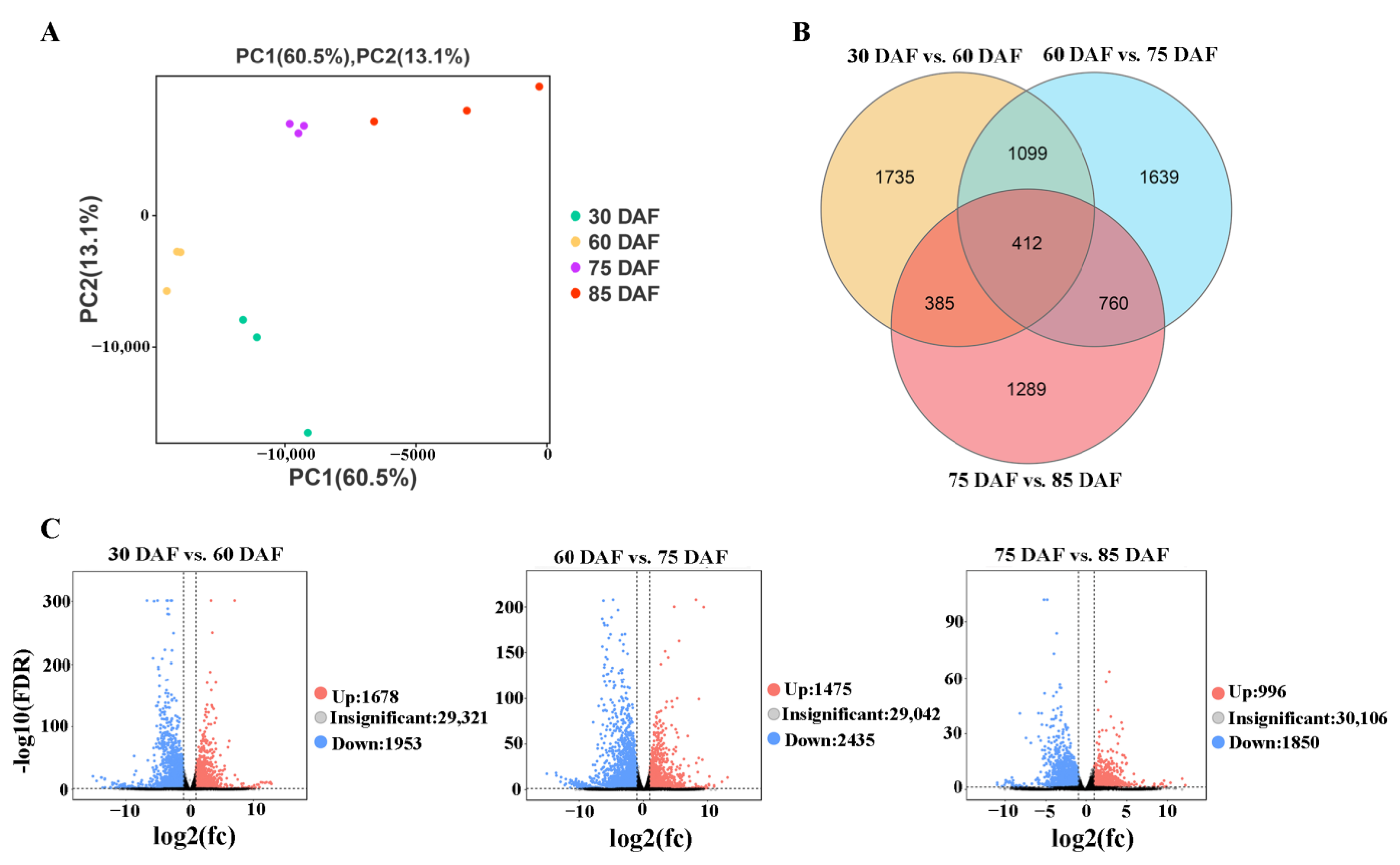 Ijms 24 00532 g002 Ijms 24 00532 g002