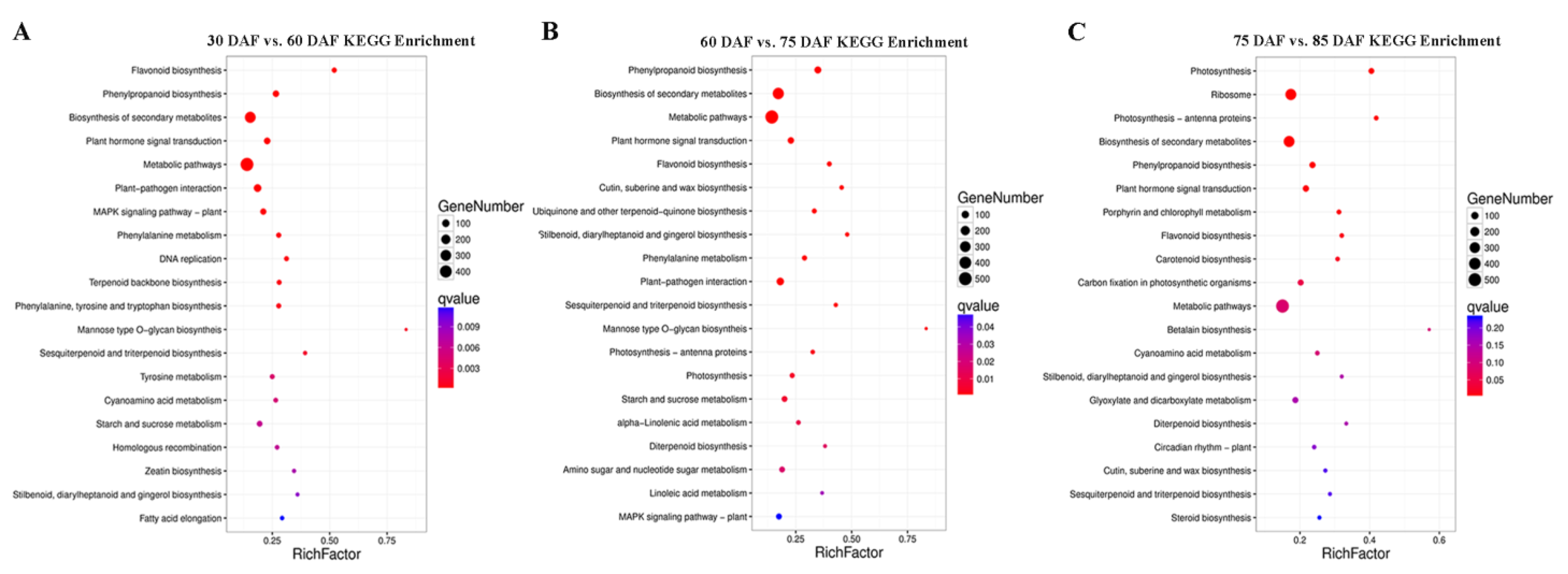 Ijms 24 00532 g003 Ijms 24 00532 g003