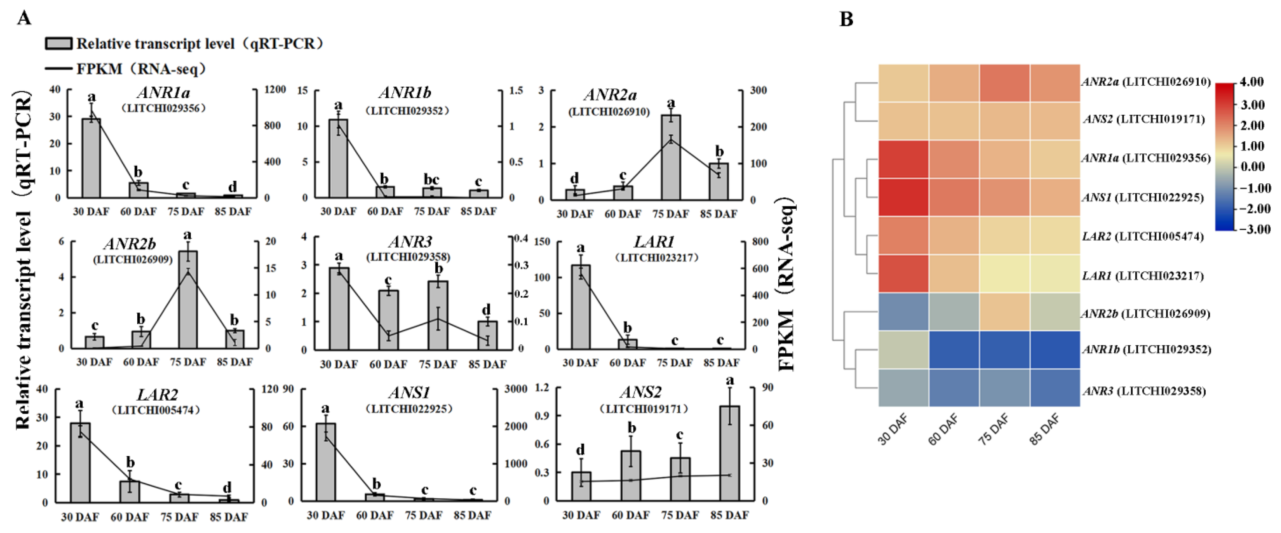 Ijms 24 00532 g005 Ijms 24 00532 g005