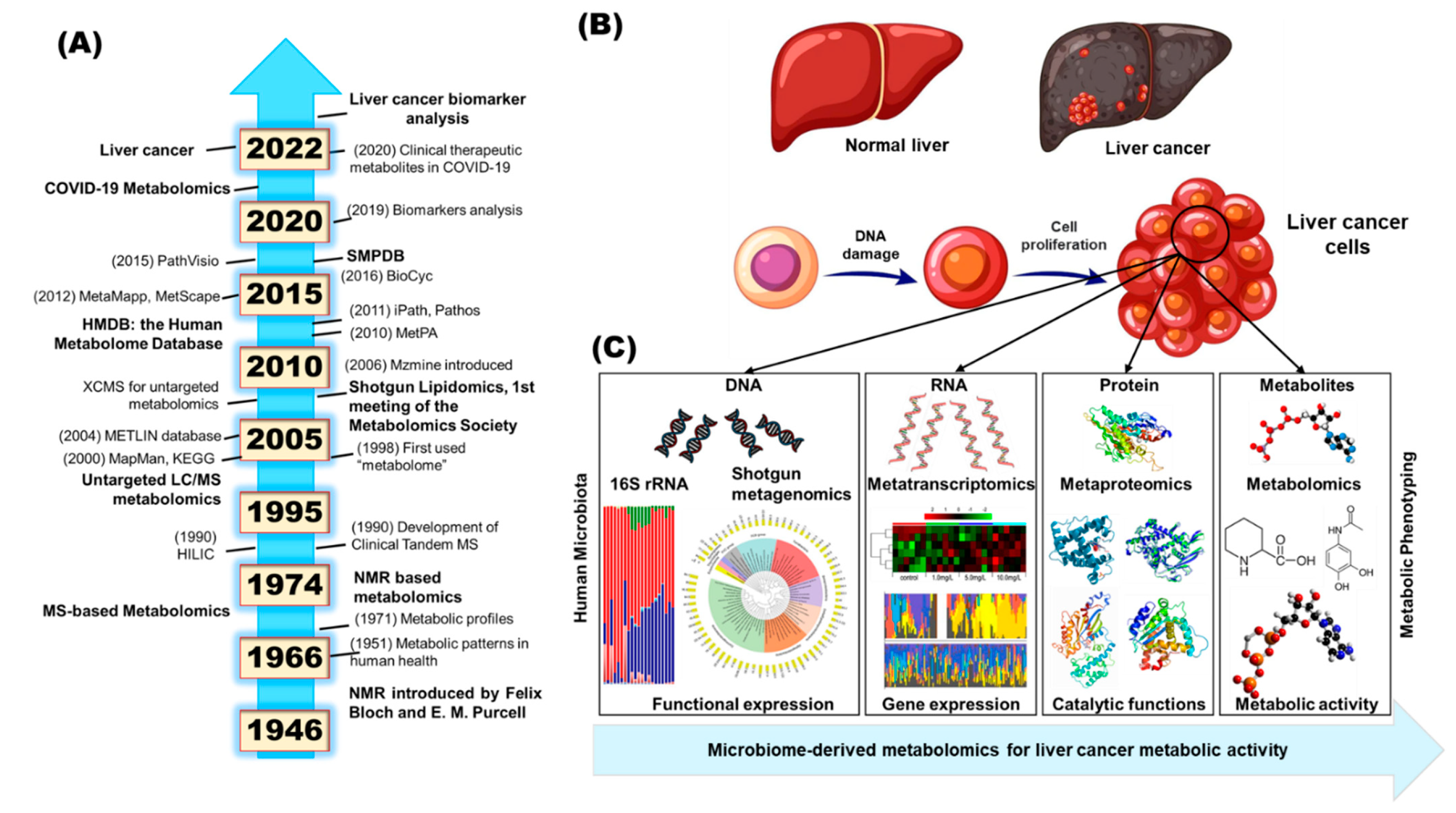 Ijms 24 00537 g001 Ijms 24 00537 g001