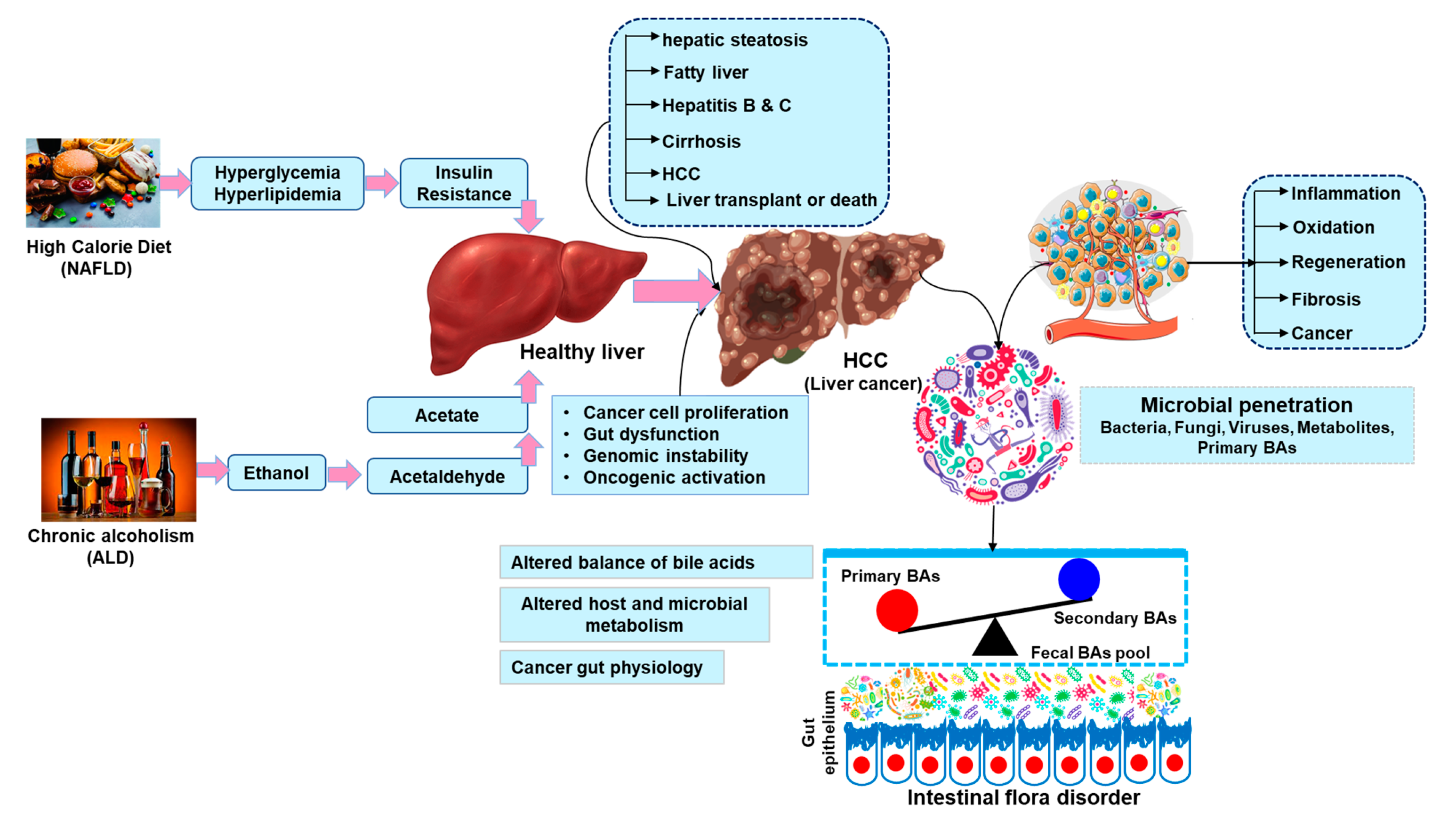 Ijms 24 00537 g003 Ijms 24 00537 g003