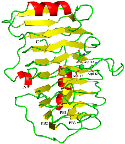 Pectate Structure Structure of an Alkaline Pectate Lyase and Rational Engineering with ...