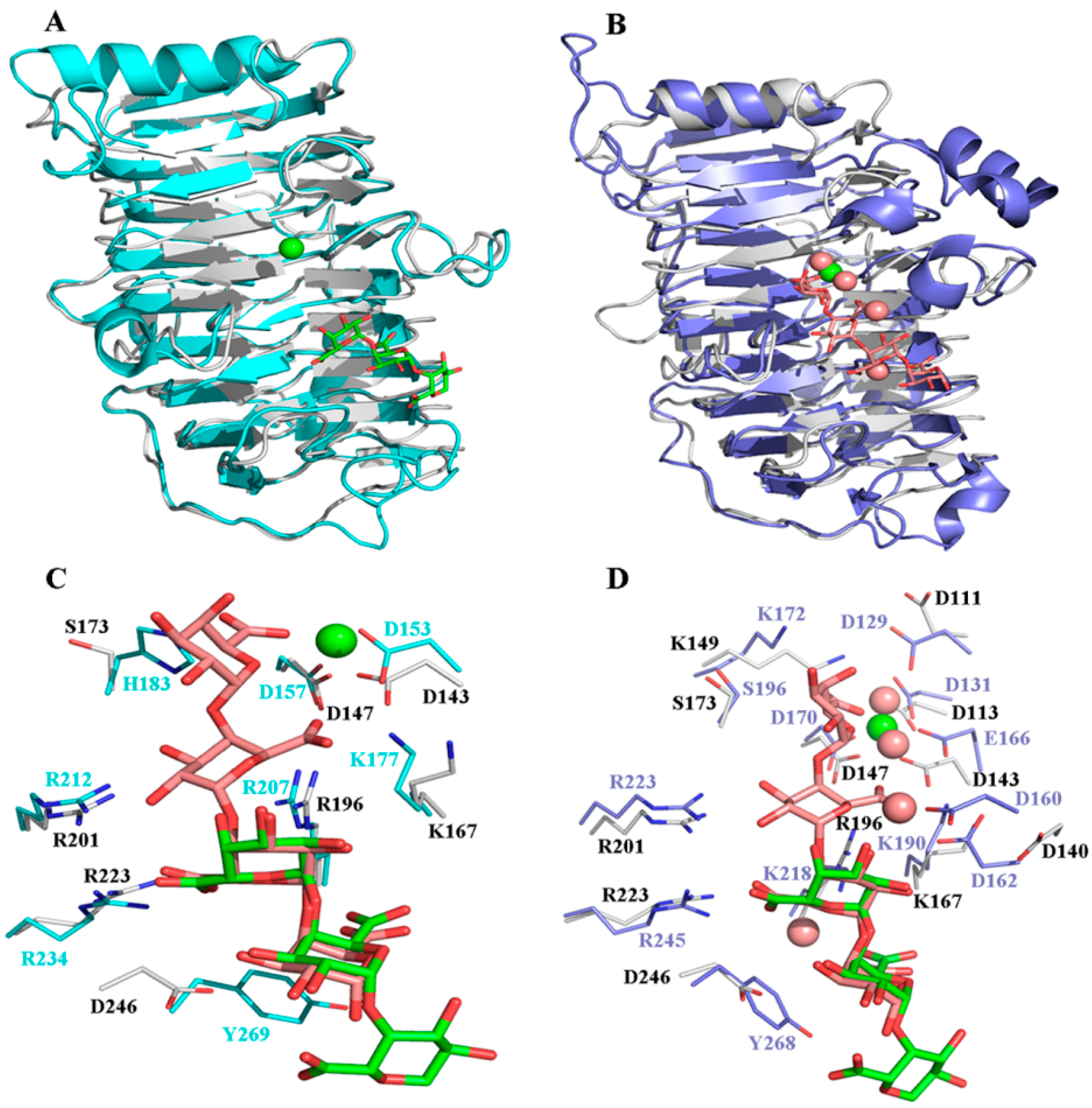 Ijms 24 00538 g002 Ijms 24 00538 g002