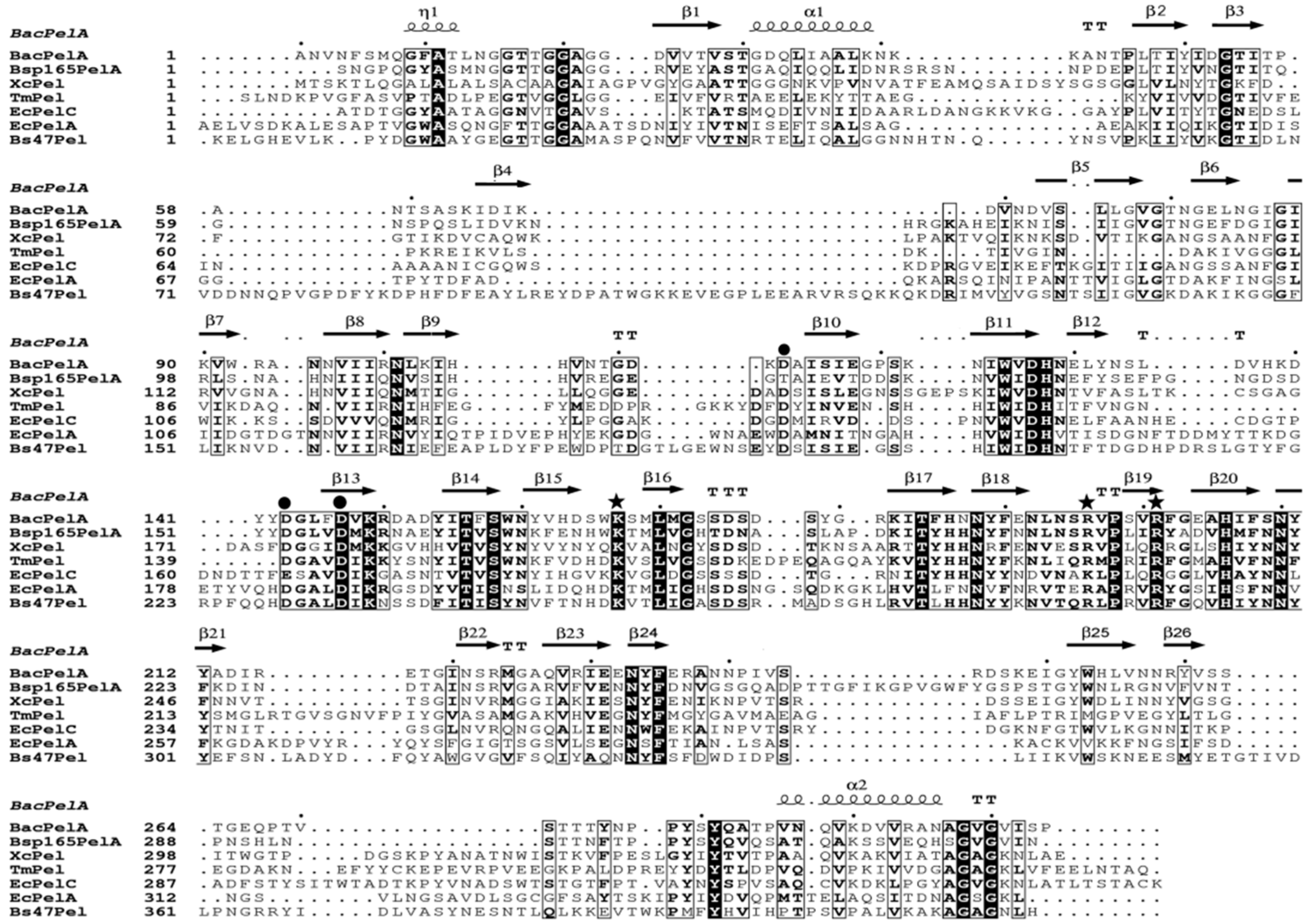 Ijms 24 00538 g003 Ijms 24 00538 g003