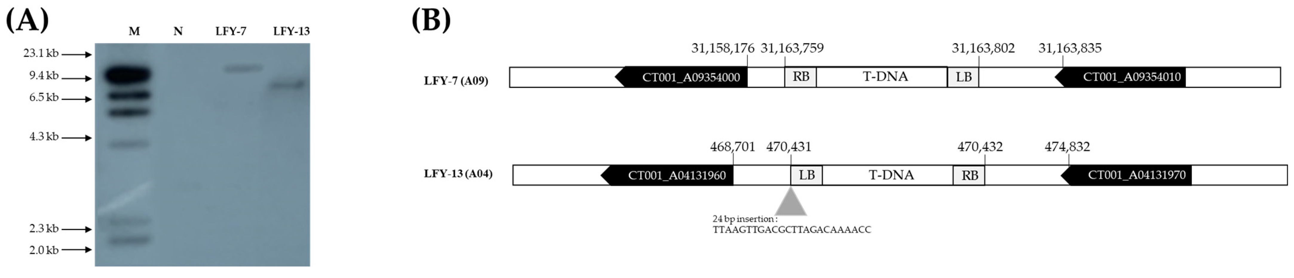 Ijms 24 00541 g005 Ijms 24 00541 g005