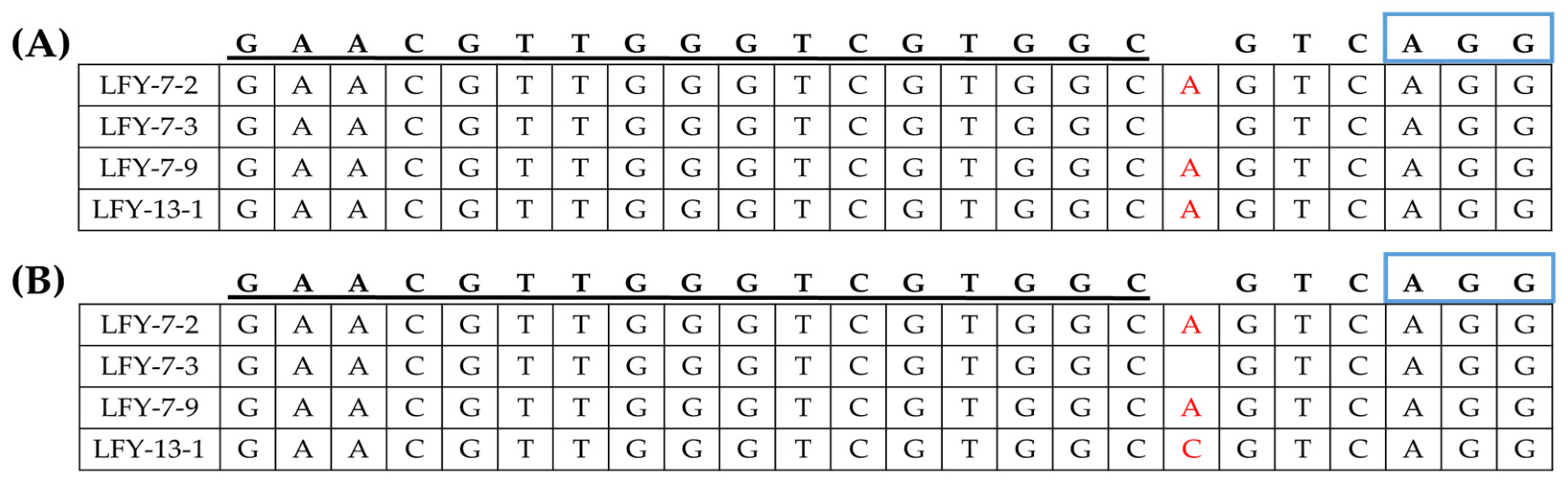 Ijms 24 00541 g006 Ijms 24 00541 g006