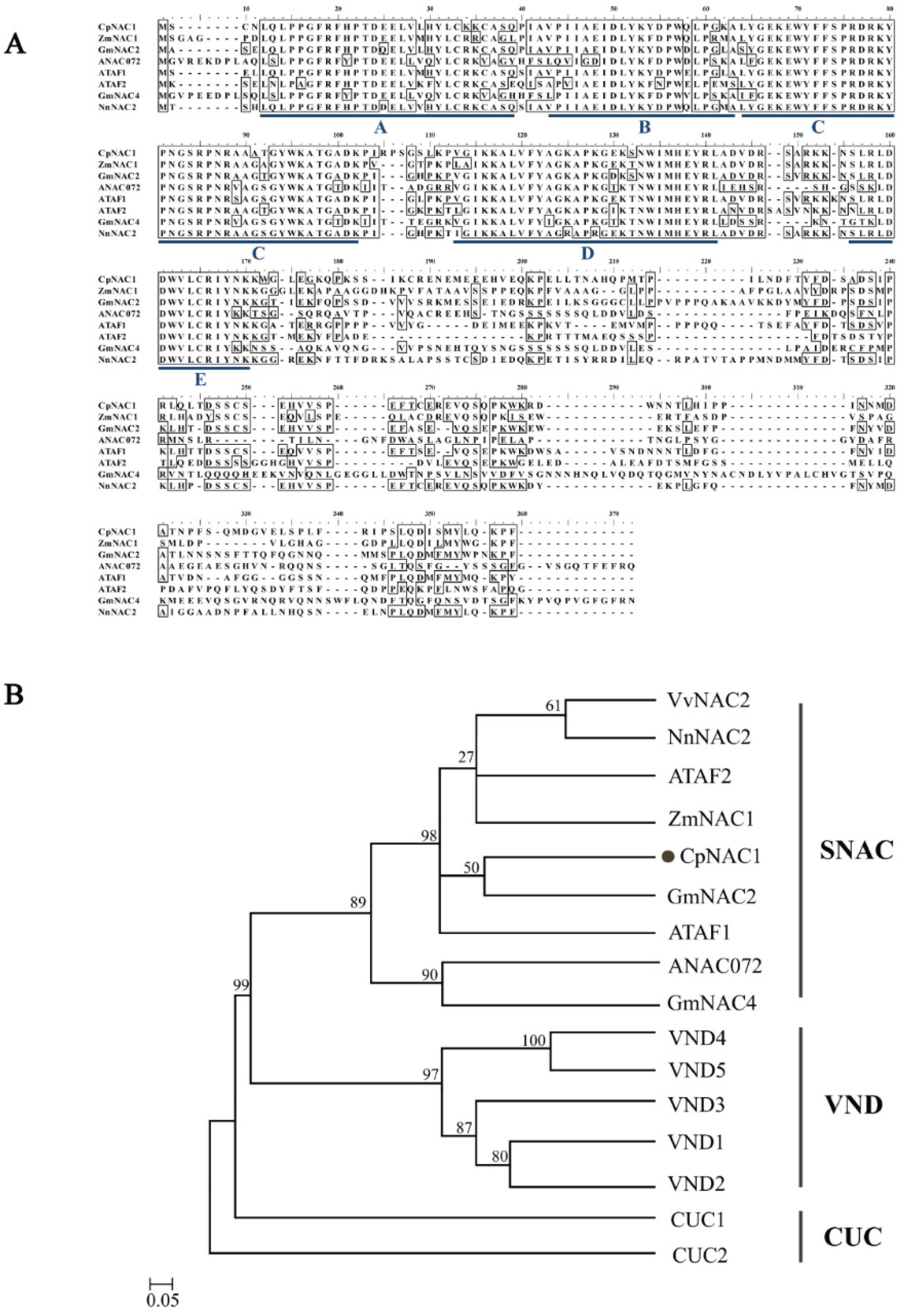 Ijms 24 00542 g001 Ijms 24 00542 g001