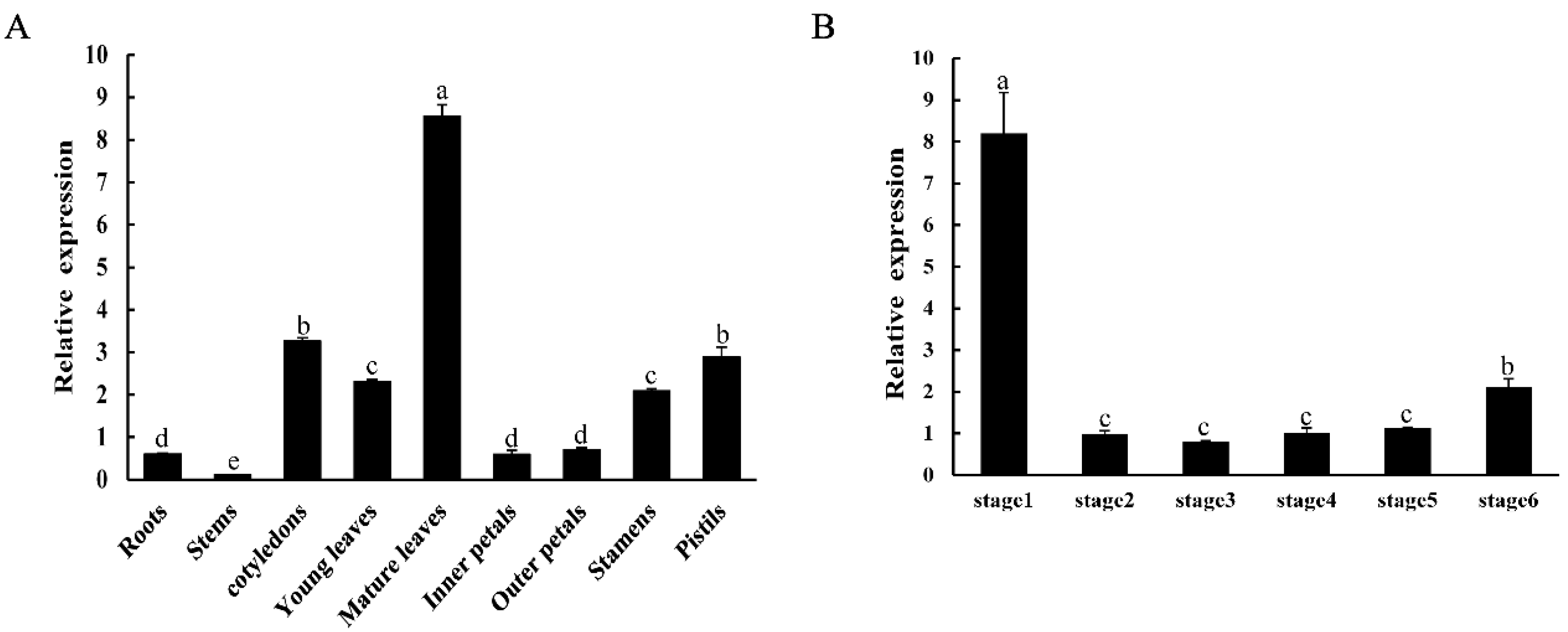 Ijms 24 00542 g003 Ijms 24 00542 g003