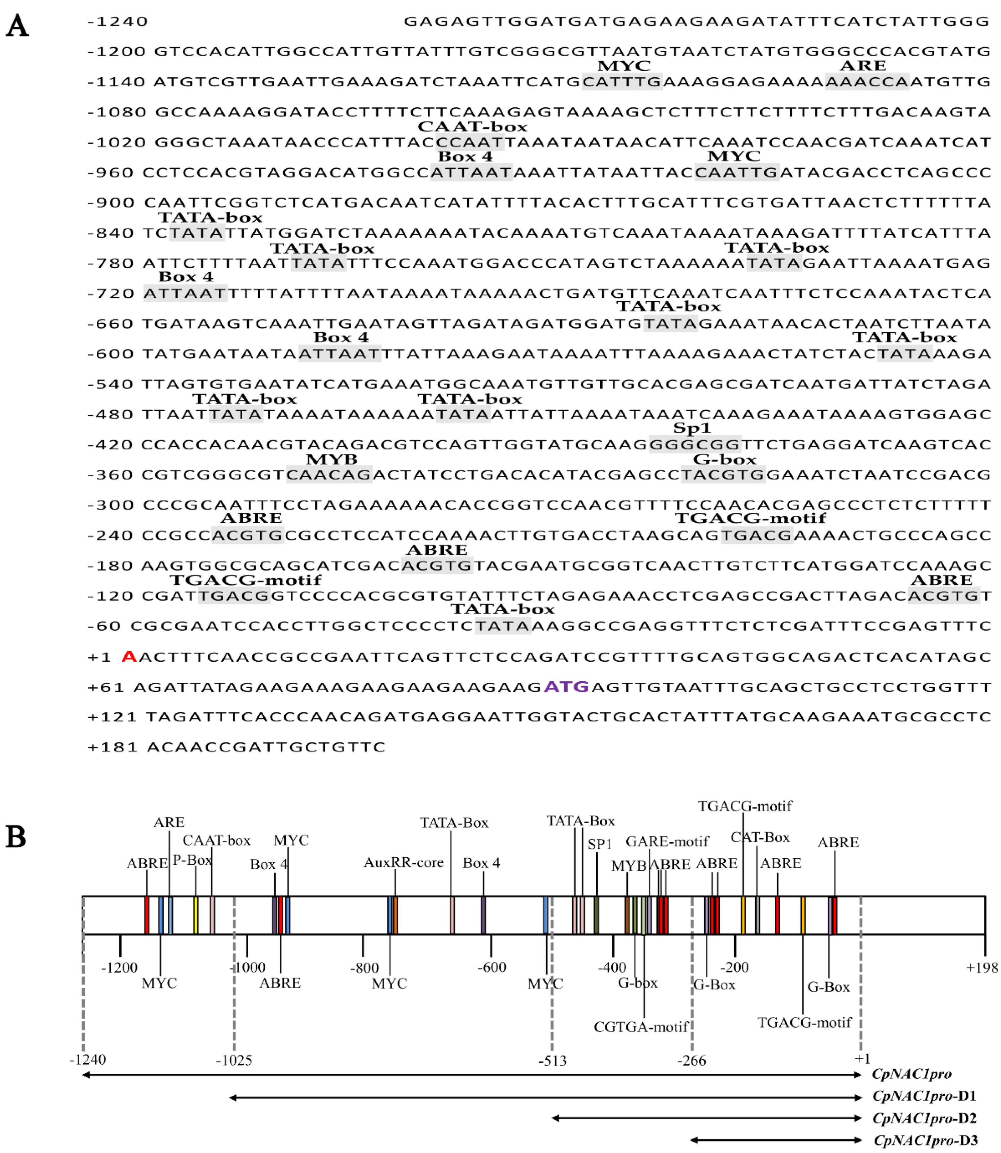 Ijms 24 00542 g004 Ijms 24 00542 g004
