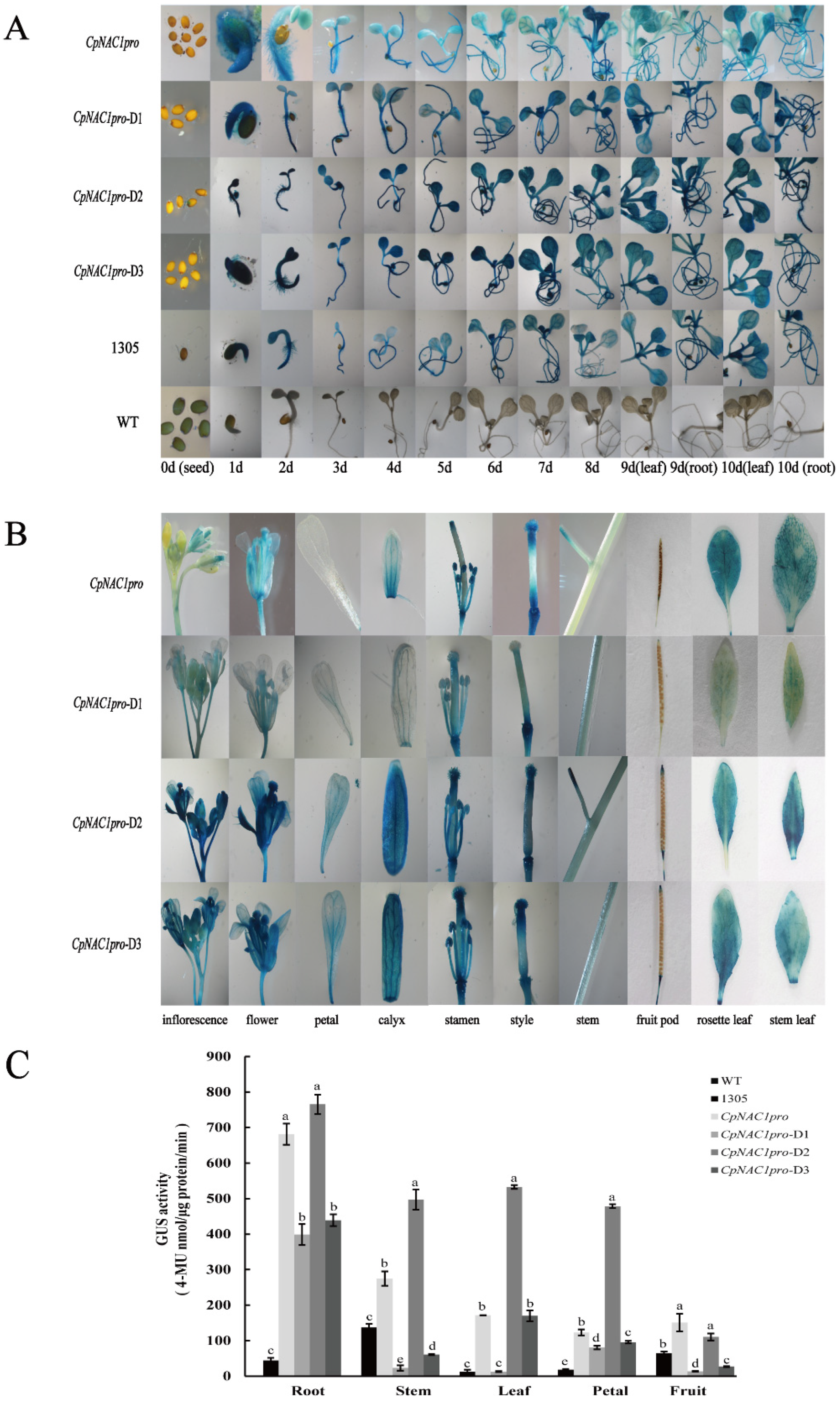 Ijms 24 00542 g005 Ijms 24 00542 g005