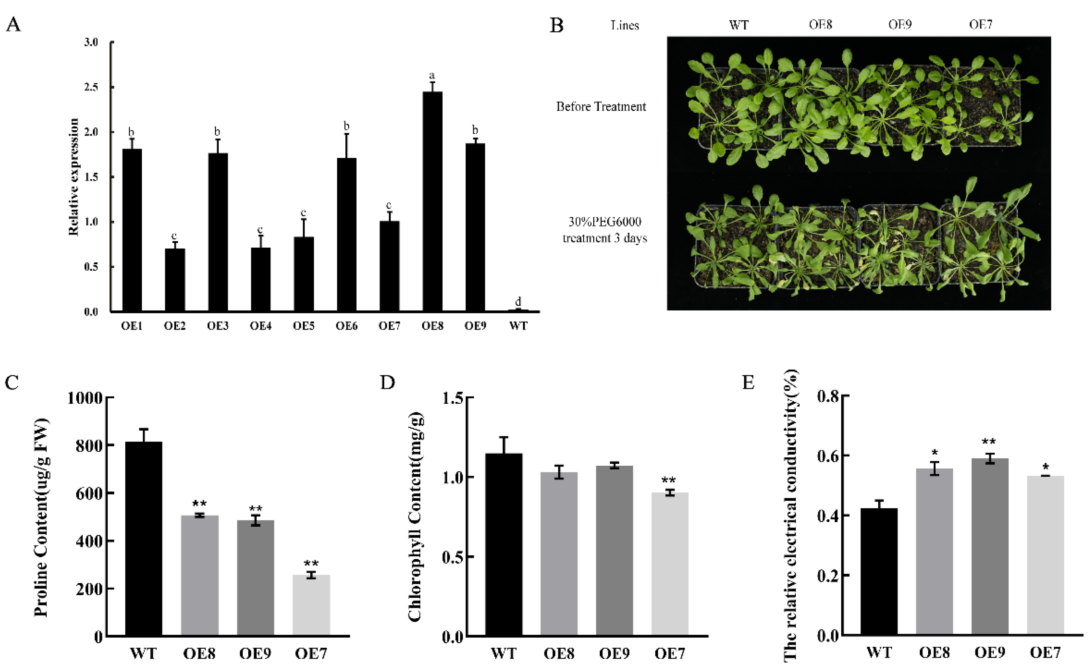 Ijms 24 00542 g008 Ijms 24 00542 g008