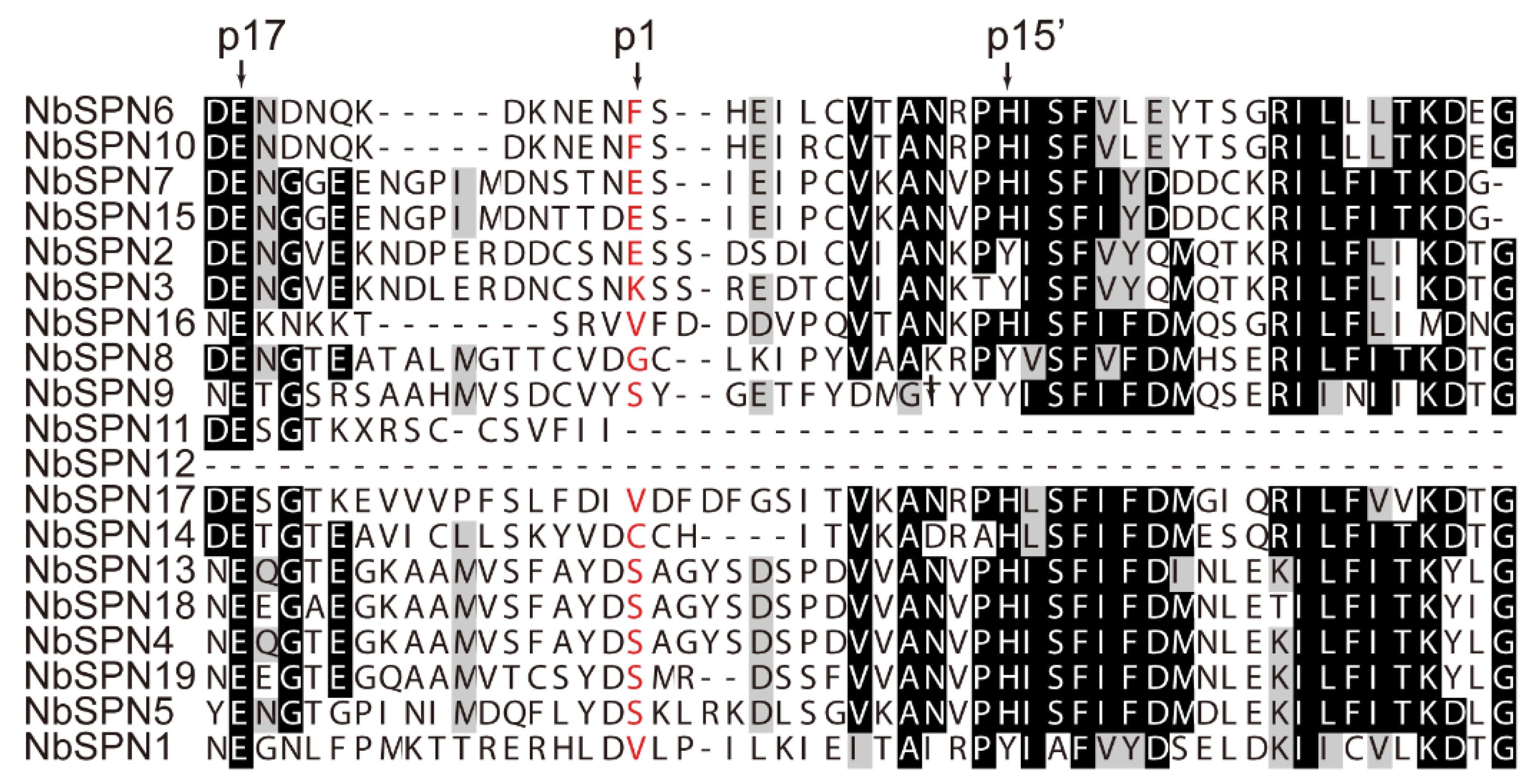 Ijms 24 00550 g002 Ijms 24 00550 g002