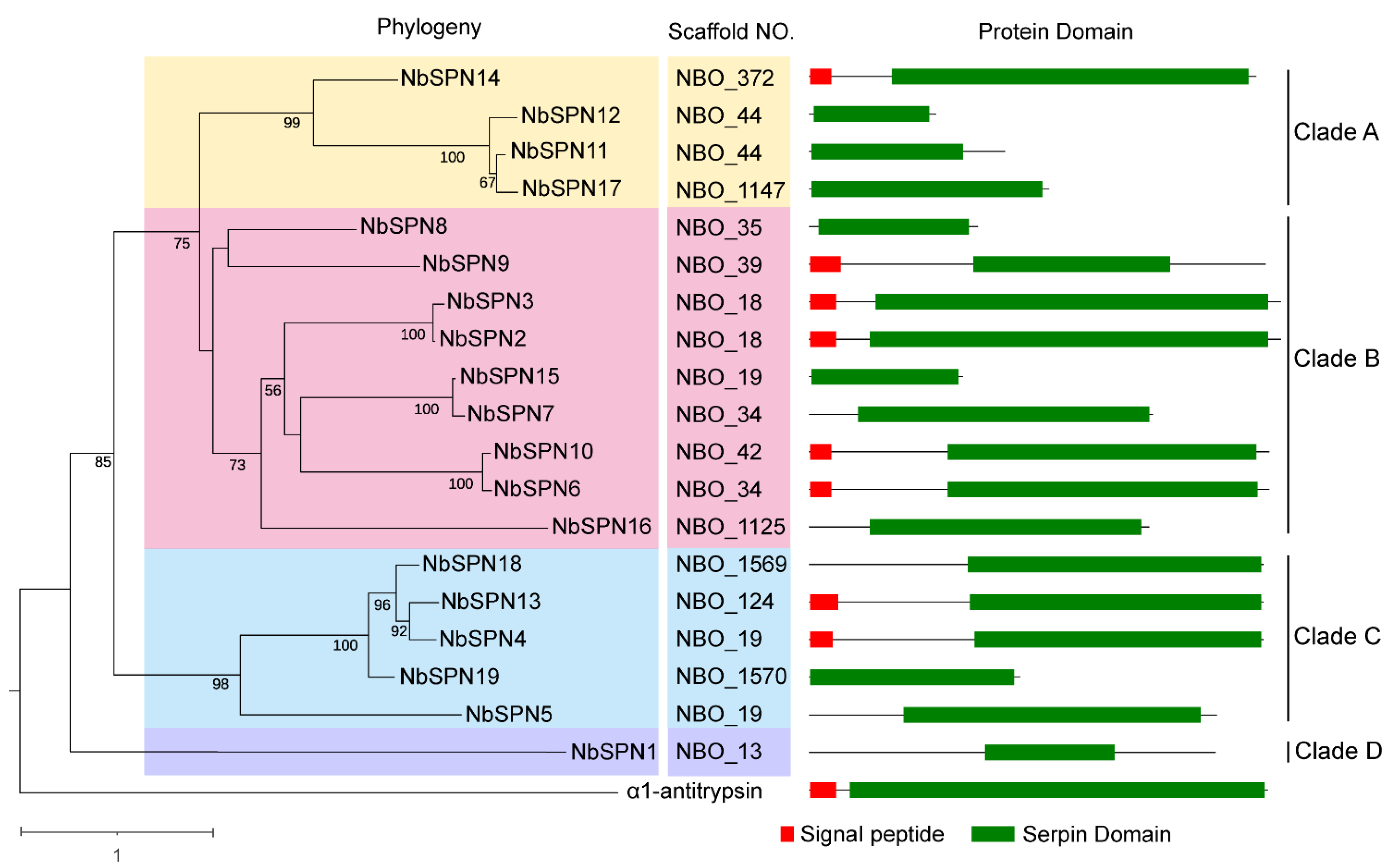 Ijms 24 00550 g004 Ijms 24 00550 g004