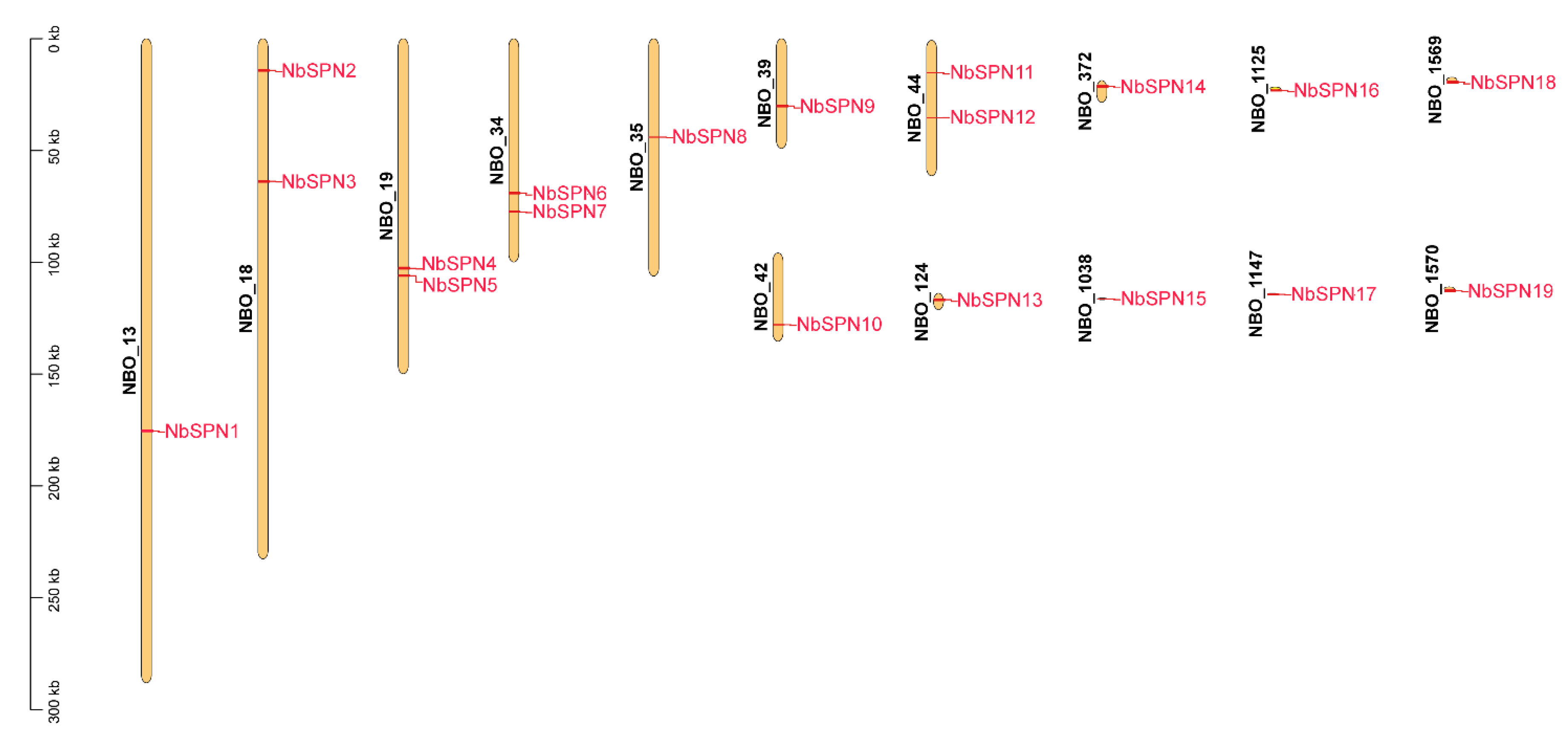 Ijms 24 00550 g005 Ijms 24 00550 g005