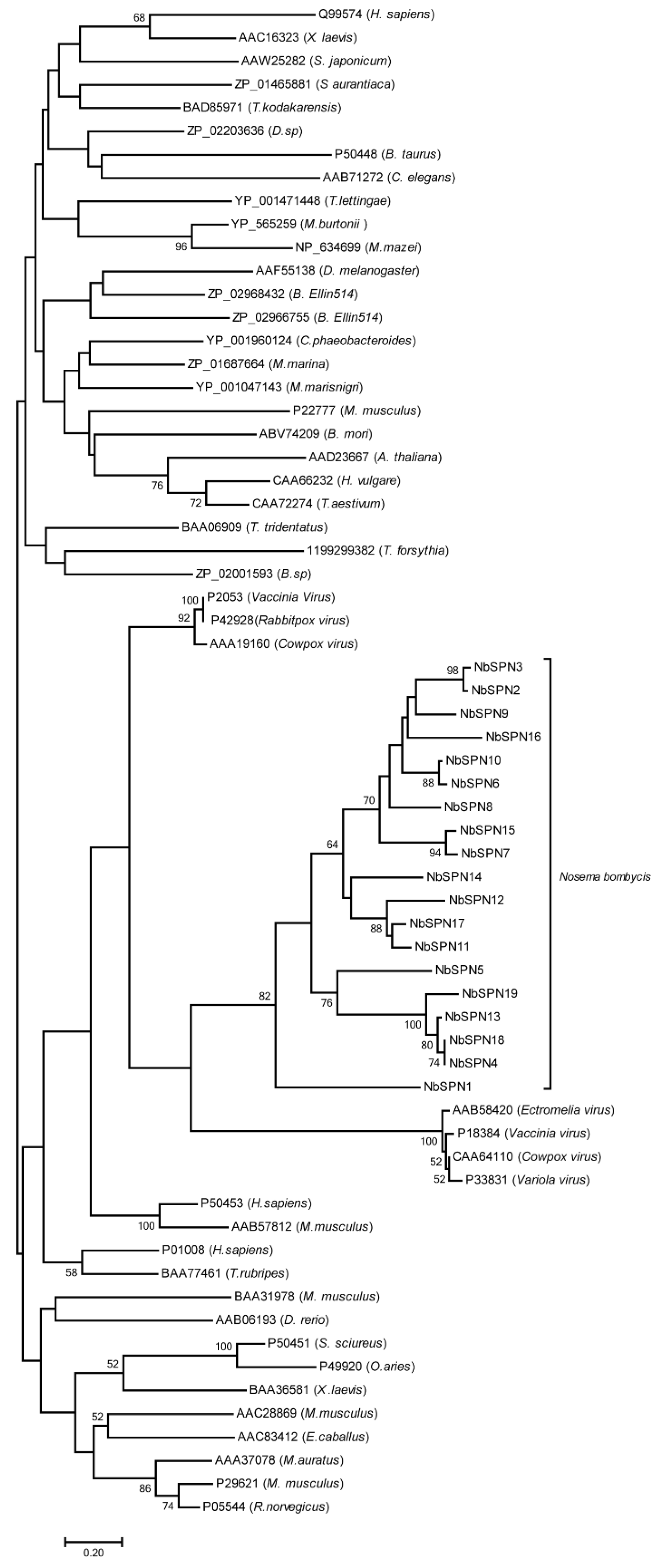 Ijms 24 00550 g007 Ijms 24 00550 g007