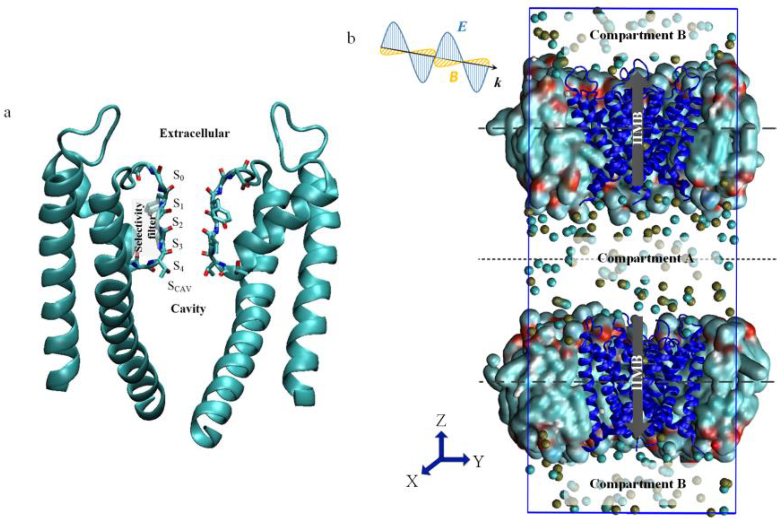 Ijms 24 00556 g001 Ijms 24 00556 g001