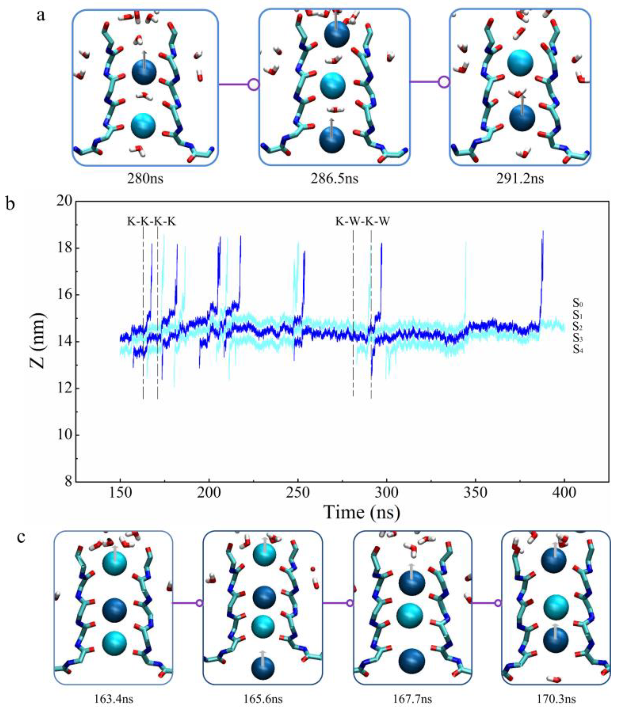 Ijms 24 00556 g004 Ijms 24 00556 g004