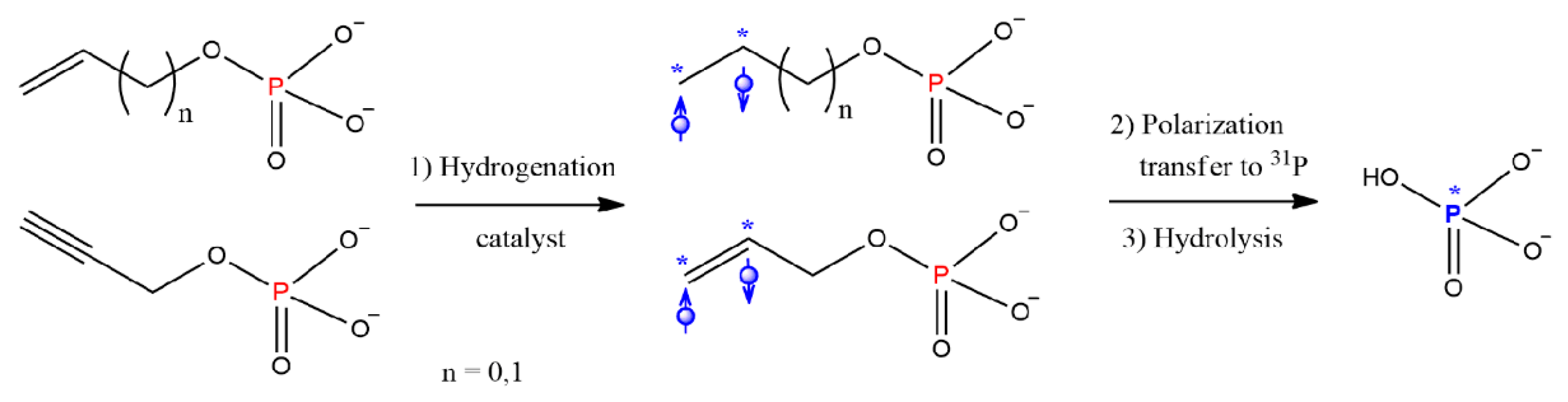 Ijms 24 00557 sch001 Ijms 24 00557 sch001