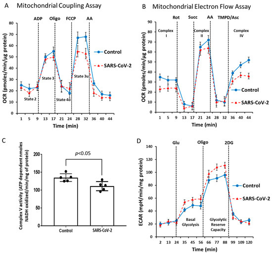 HIF-1α-Dependent Metabolic Reprogramming, Oxidative Stress, and