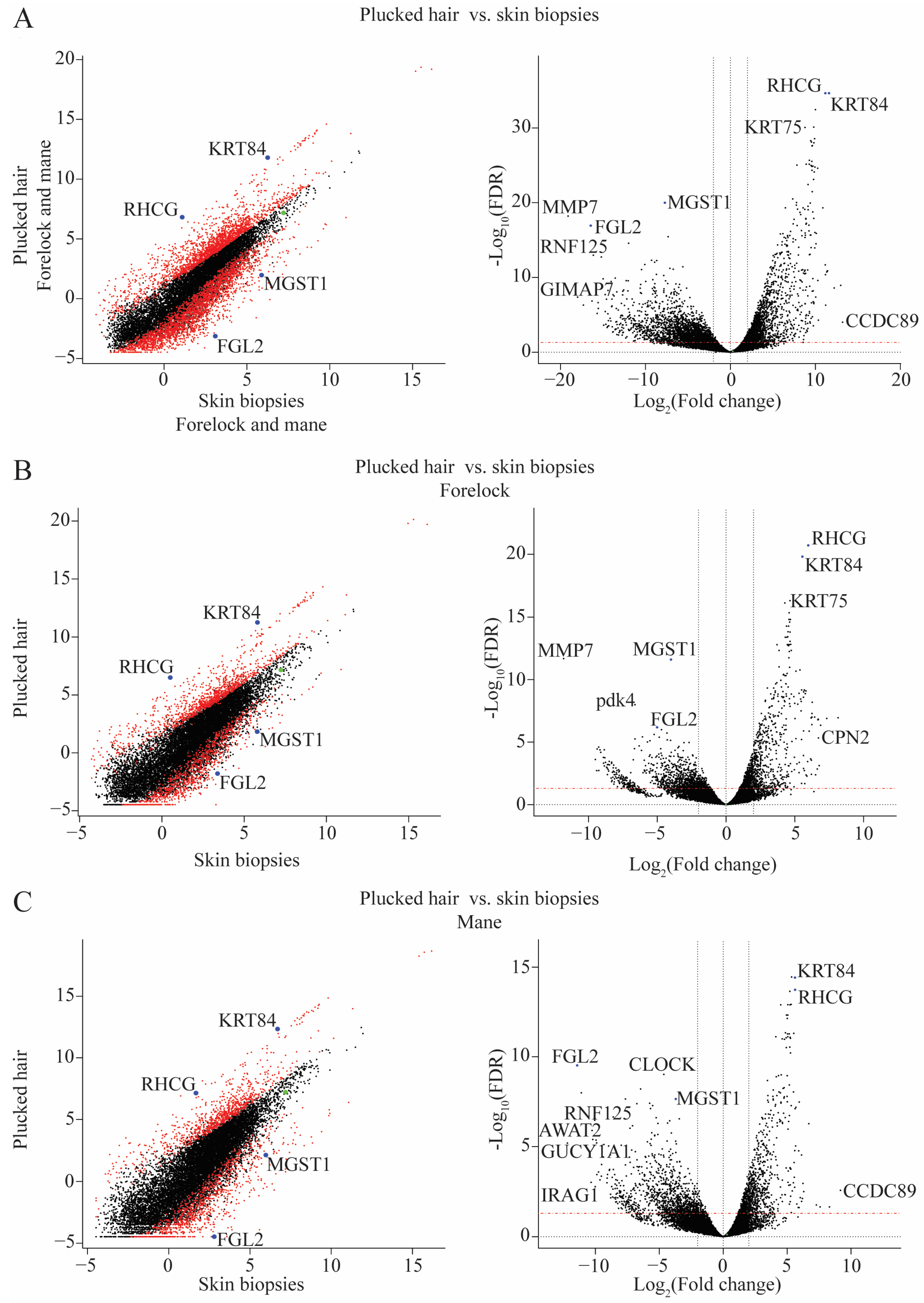 Ijms 24 00561 g001 Ijms 24 00561 g001