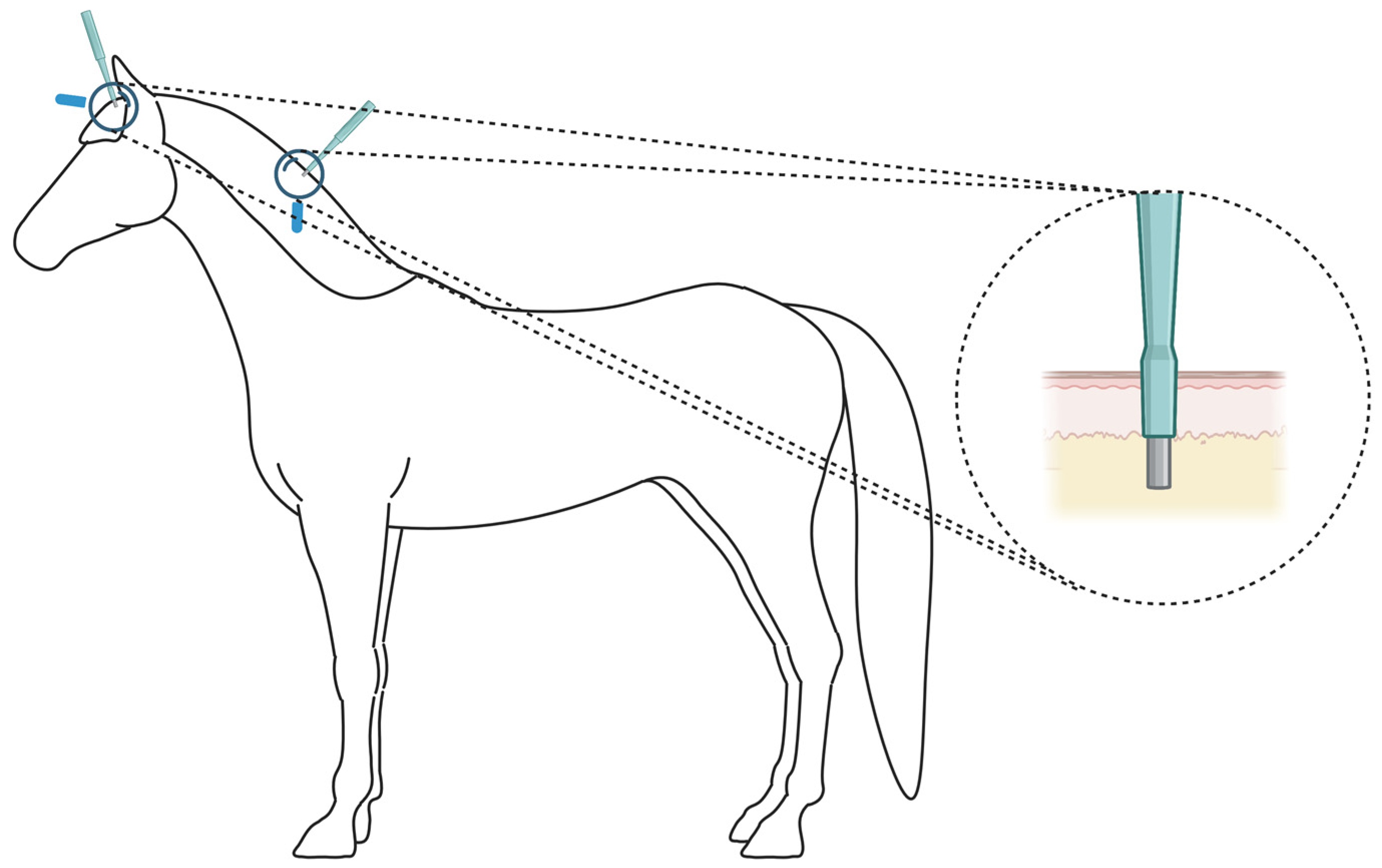 Ijms 24 00561 g005 Ijms 24 00561 g005