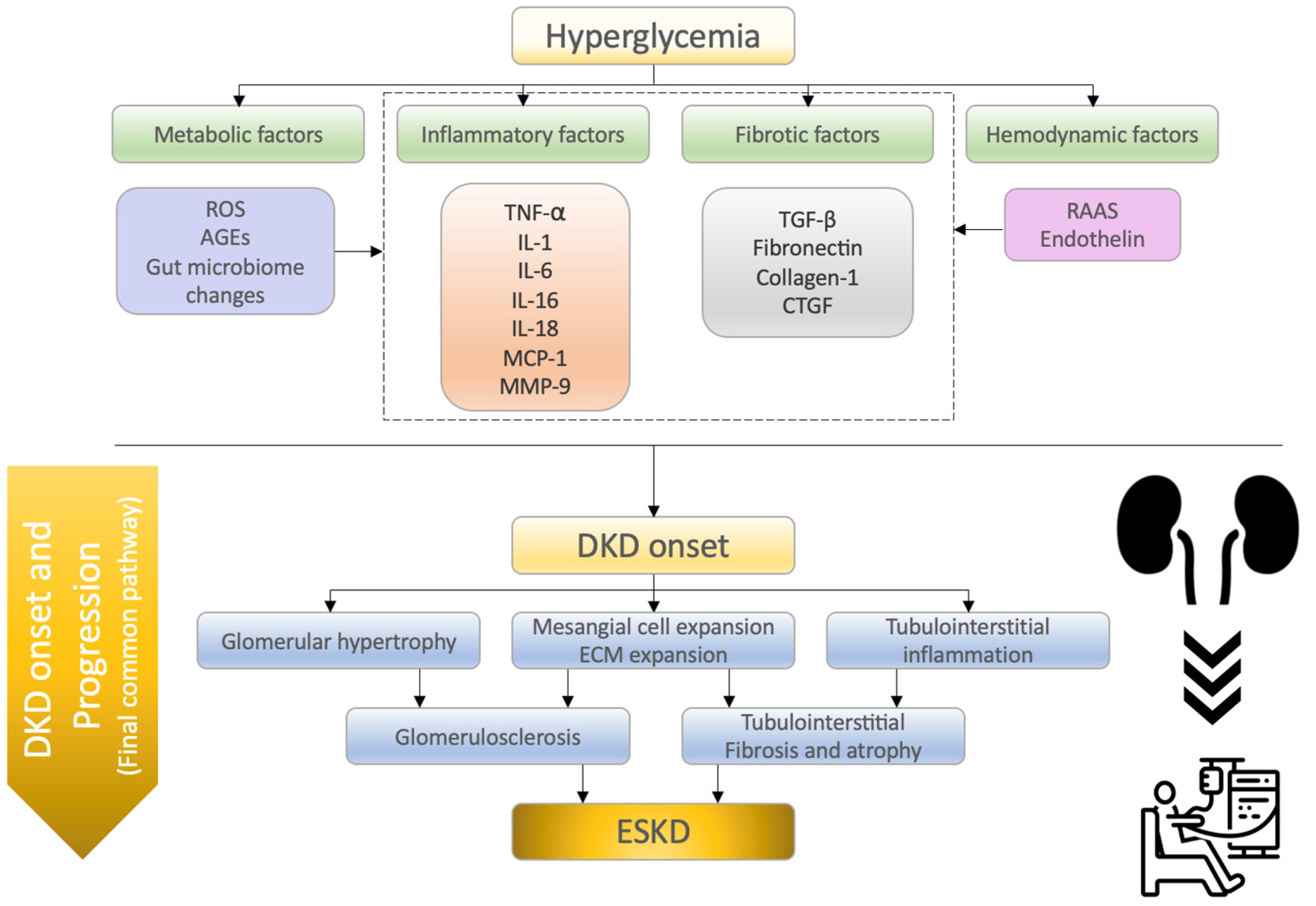 Diabetic kidney disease