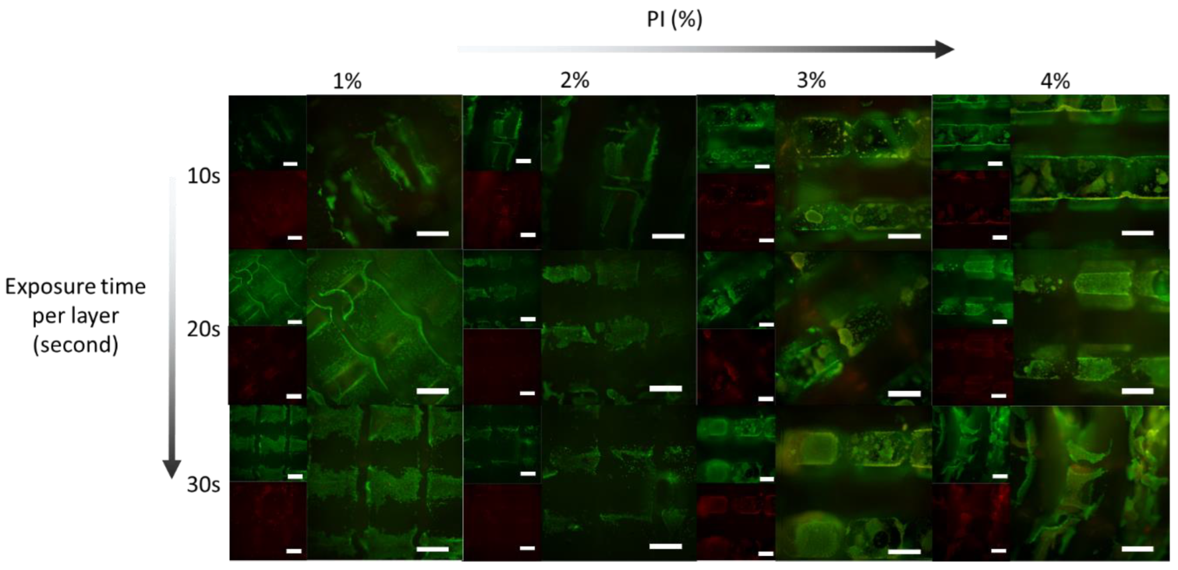 Ijms 24 00572 g005 Ijms 24 00572 g005
