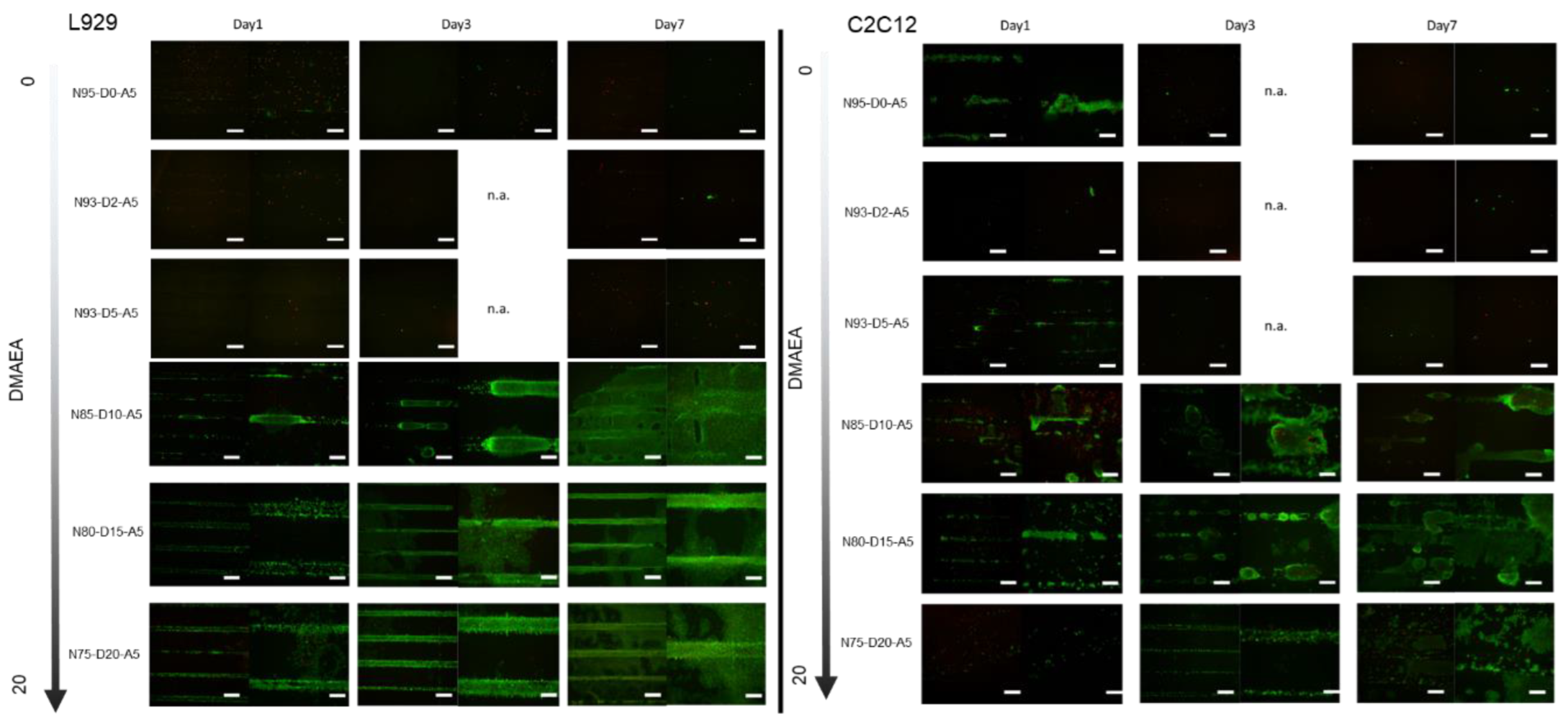 Ijms 24 00572 g007 Ijms 24 00572 g007