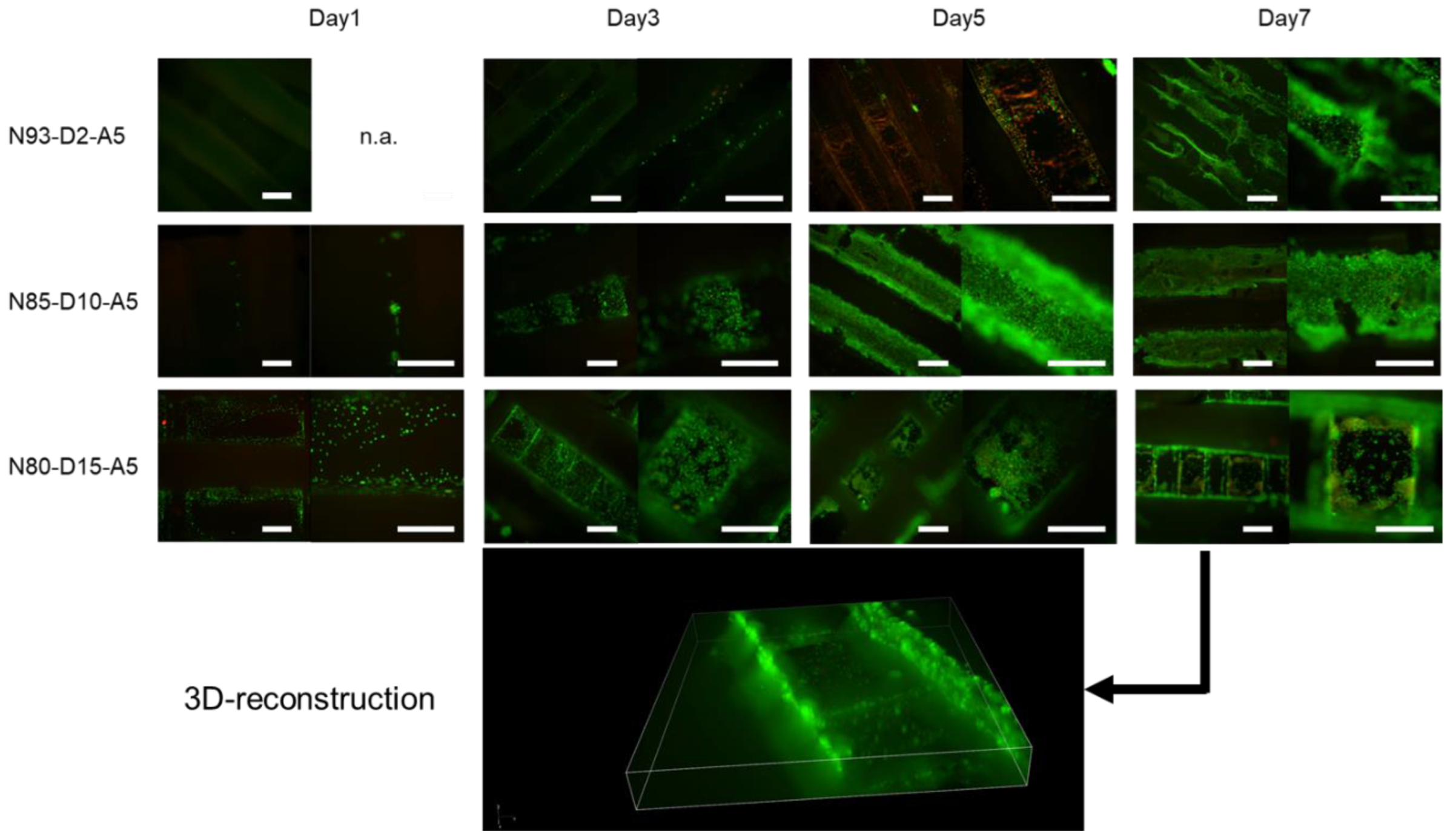 Ijms 24 00572 g009 Ijms 24 00572 g009