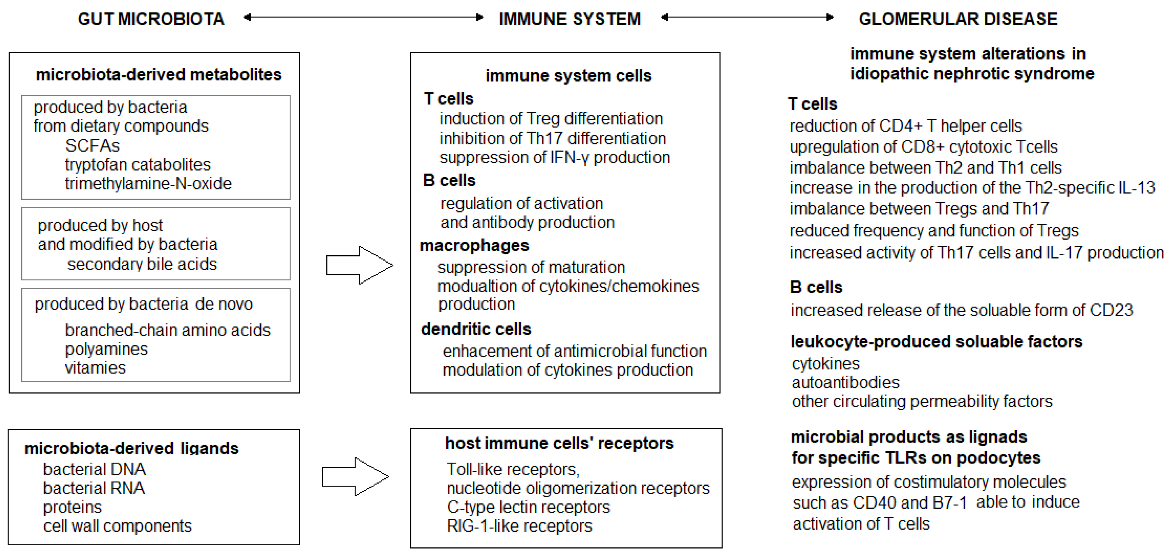 Ijms 24 00574 g001 Ijms 24 00574 g001