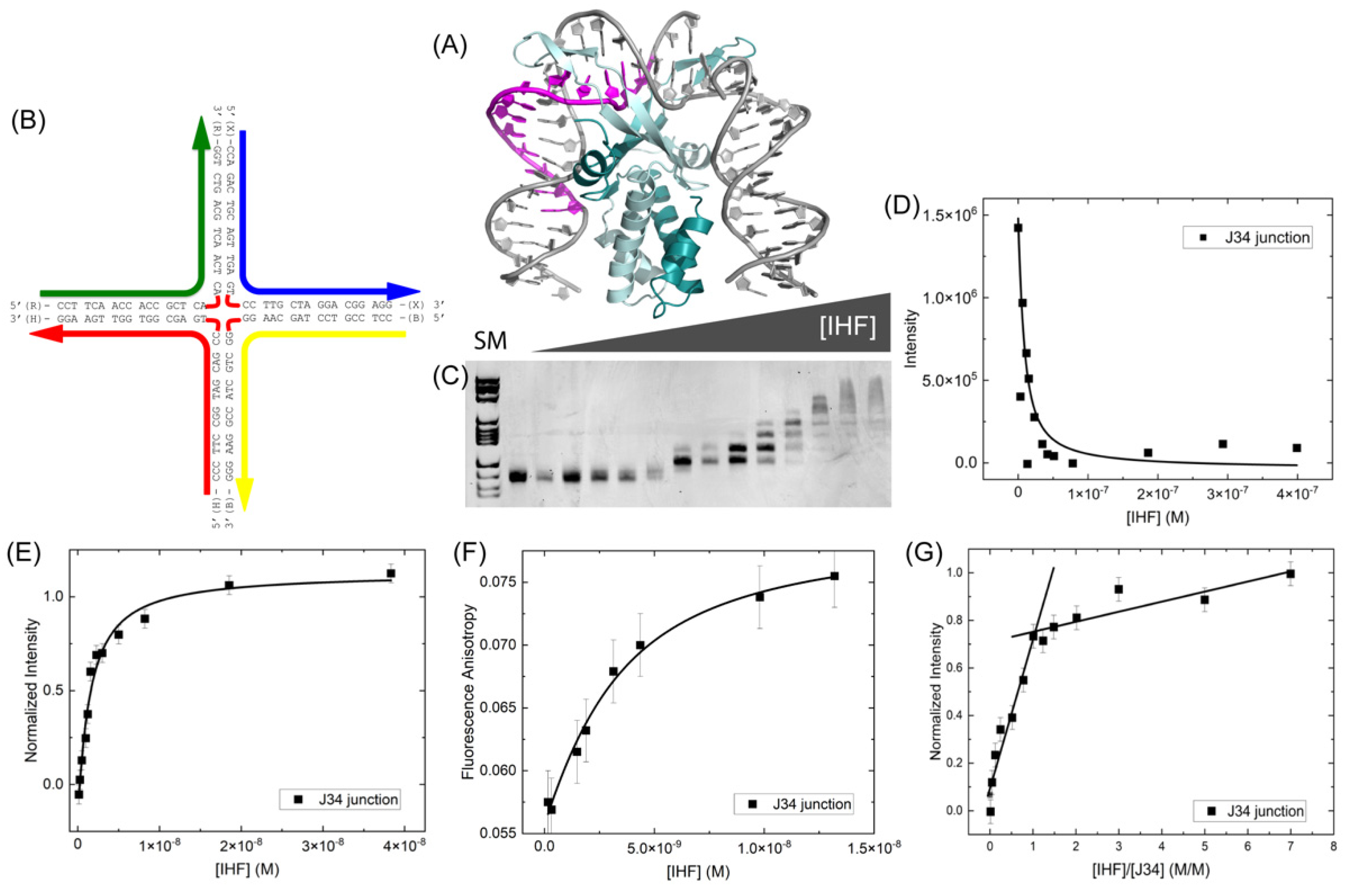 Ijms 24 00580 g001 Ijms 24 00580 g001