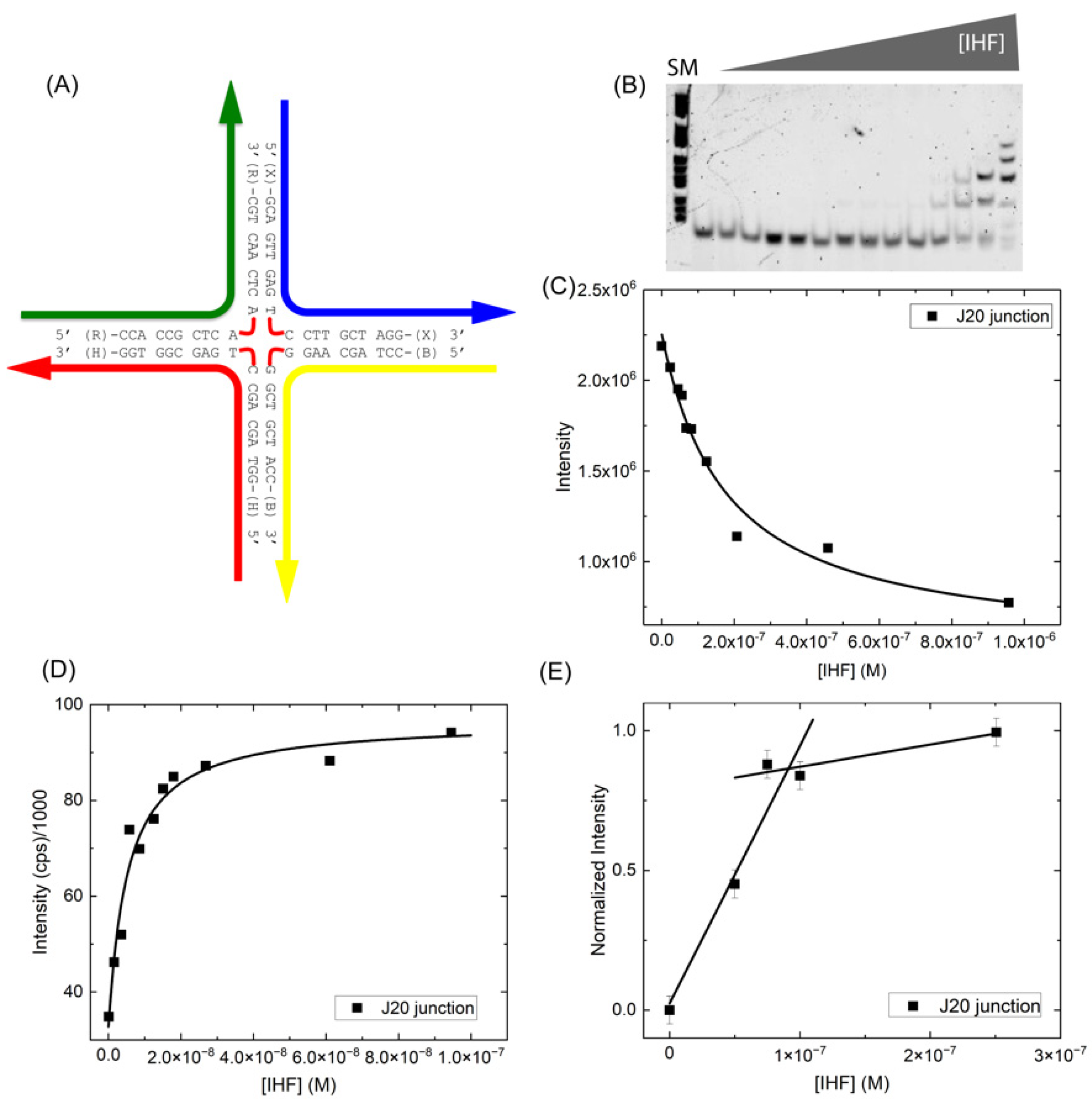Ijms 24 00580 g004 Ijms 24 00580 g004